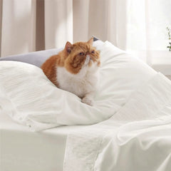 Ruched Sheet Set