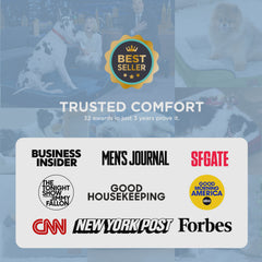 Orthopedic Cooling Pet Sofa