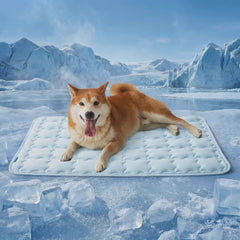 Cooling Mat for Dogs