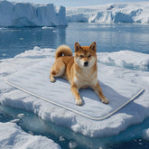 Wave Cooling Mat for Dogs