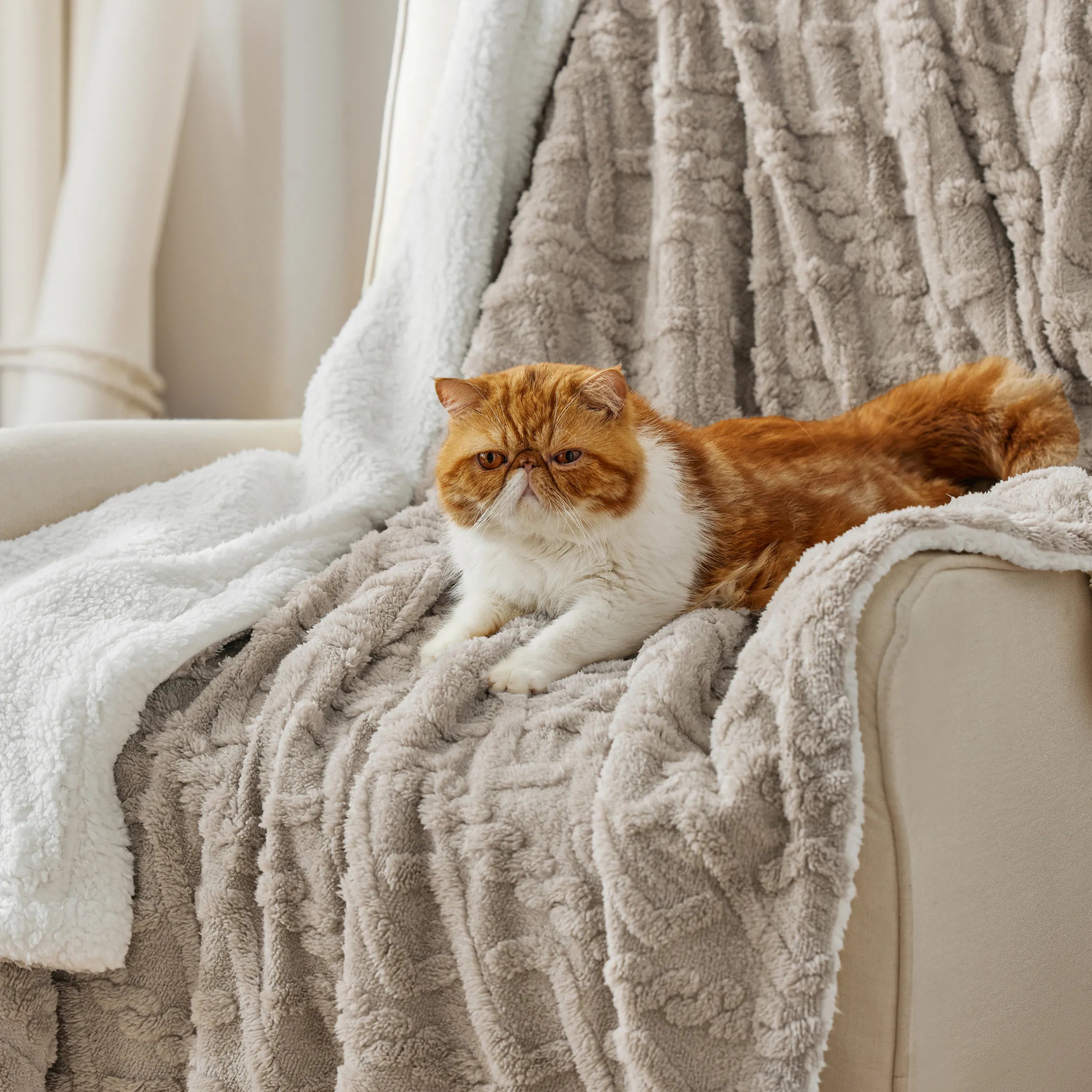 Cozy Sherpa Throw Blanket for Couch