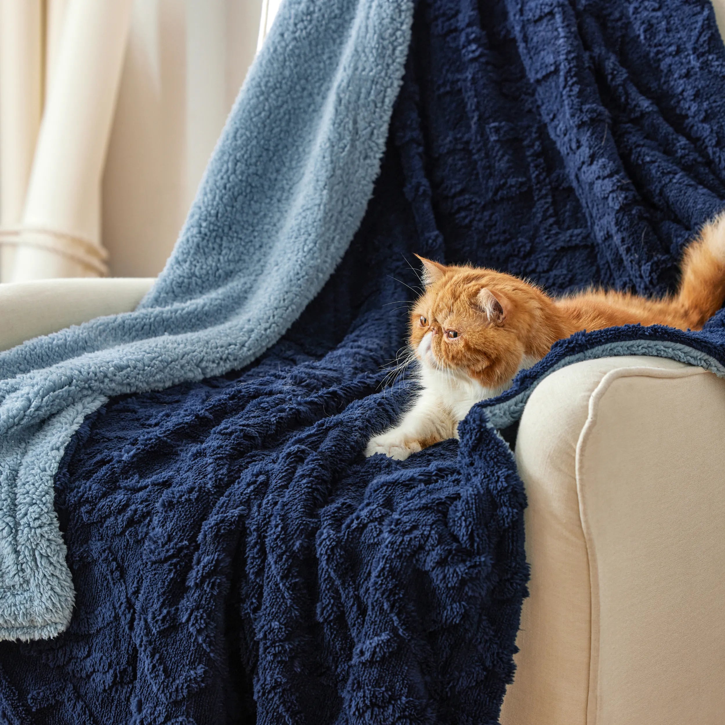 Cozy Sherpa Throw Blanket for Couch