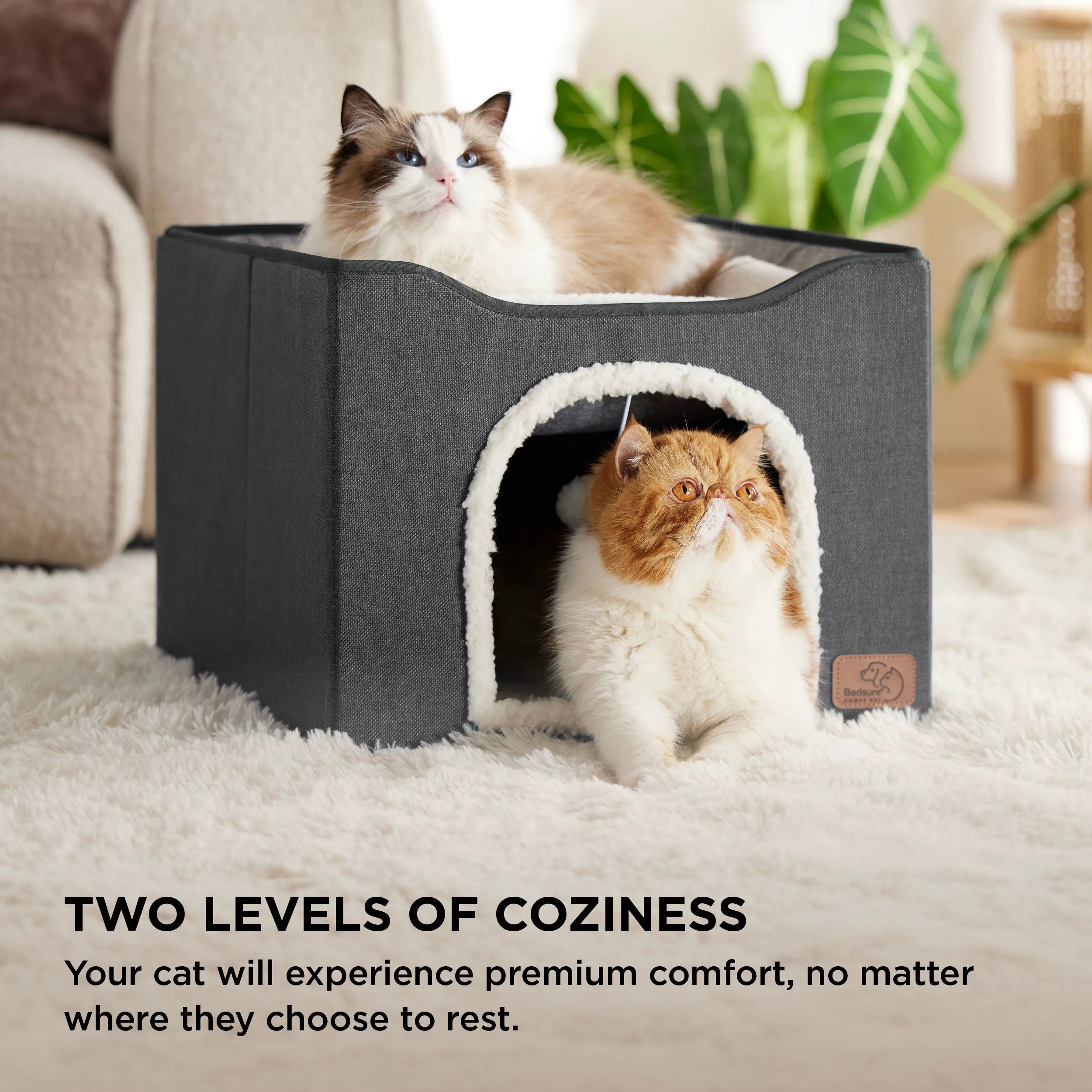 Indoor Cat Bed and House for Pets