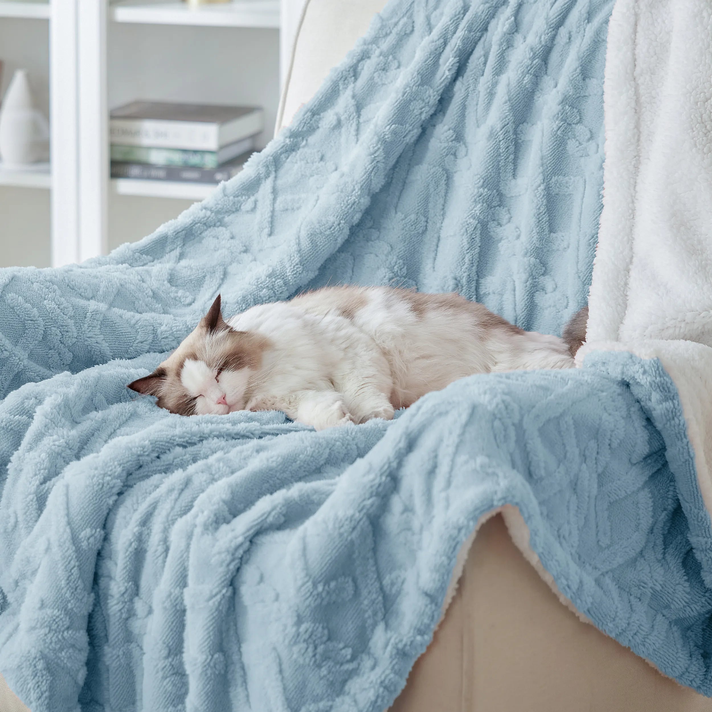 Cozy Sherpa Throw Blanket for Couch