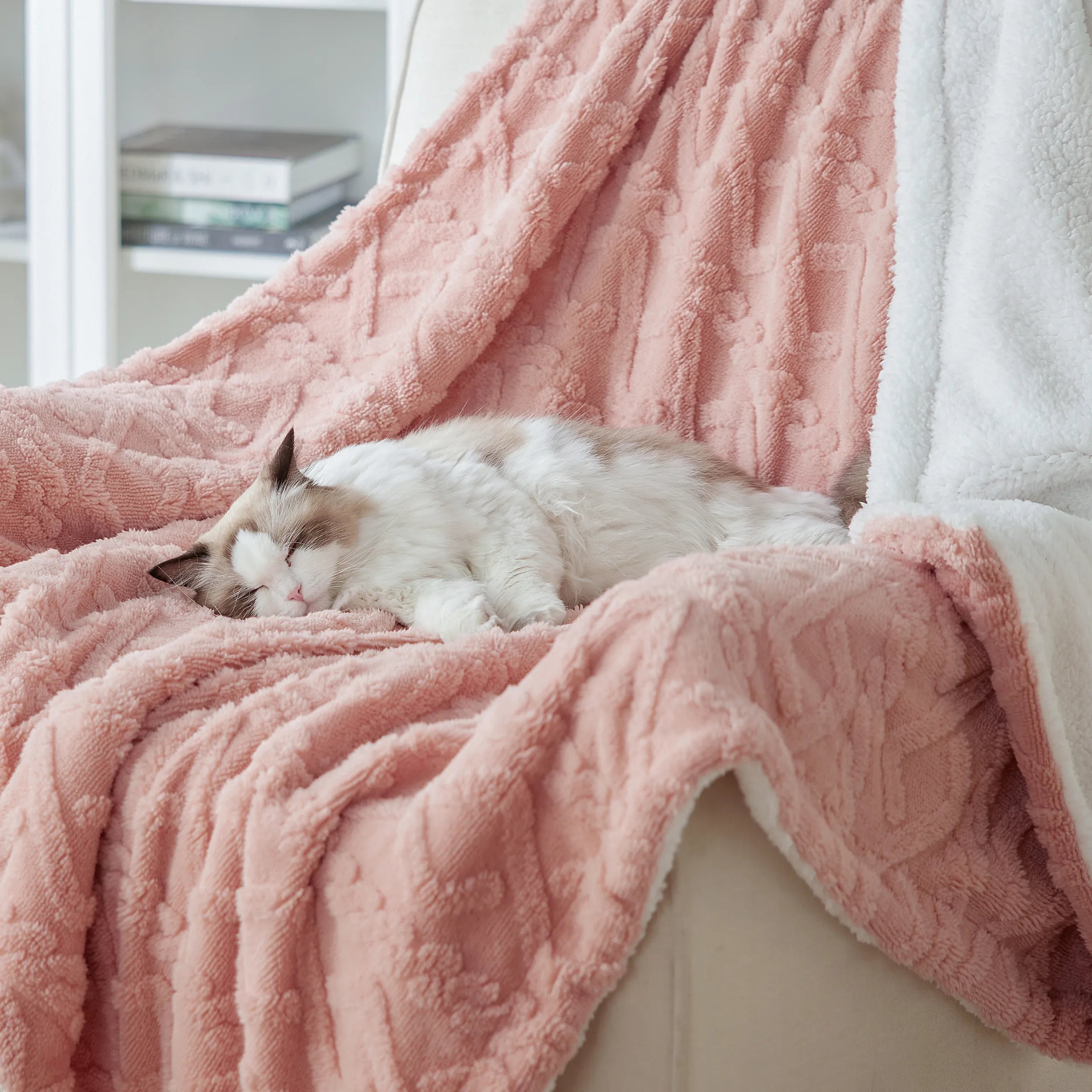 Cozy Sherpa Throw Blanket for Couch