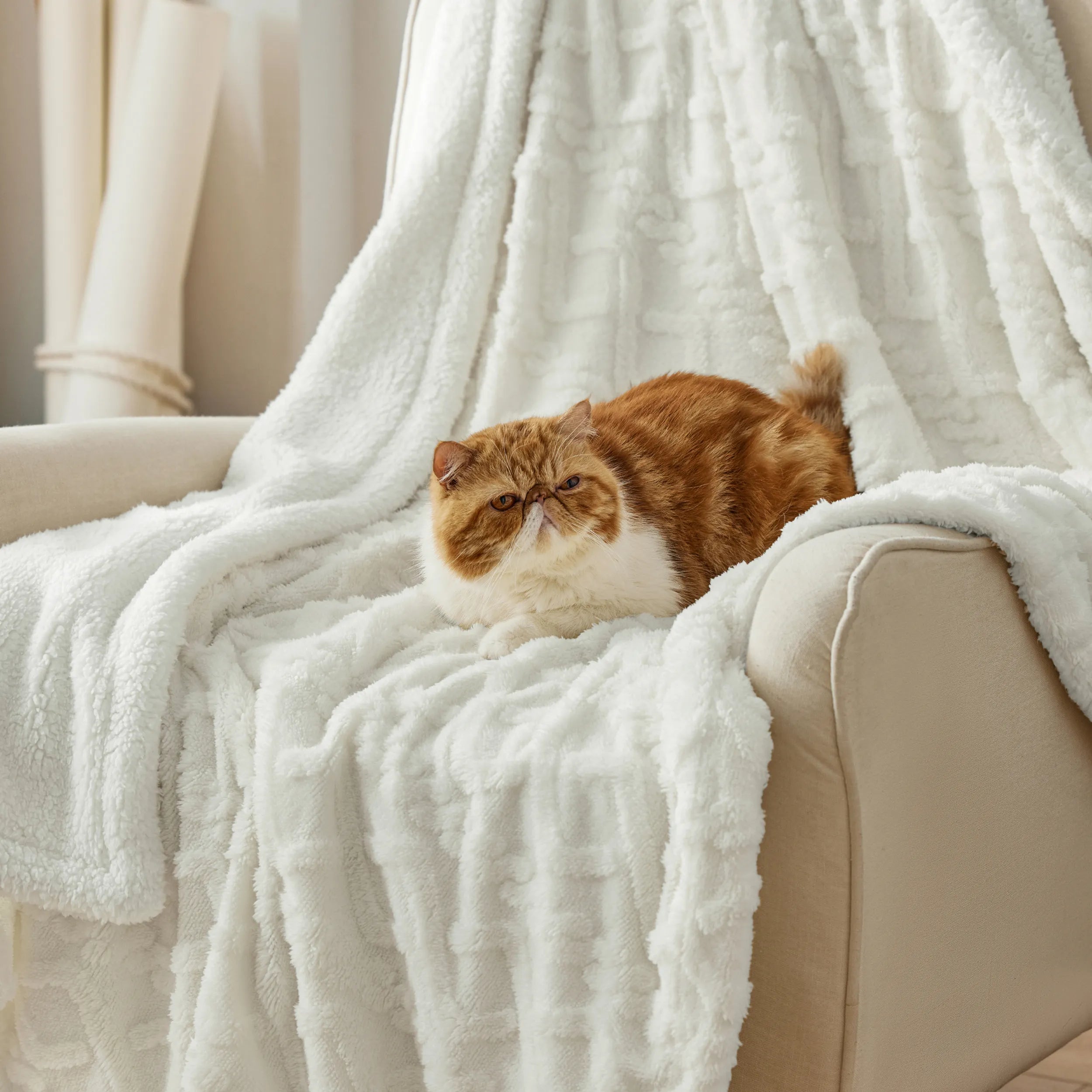 Cozy Sherpa Throw Blanket for Couch