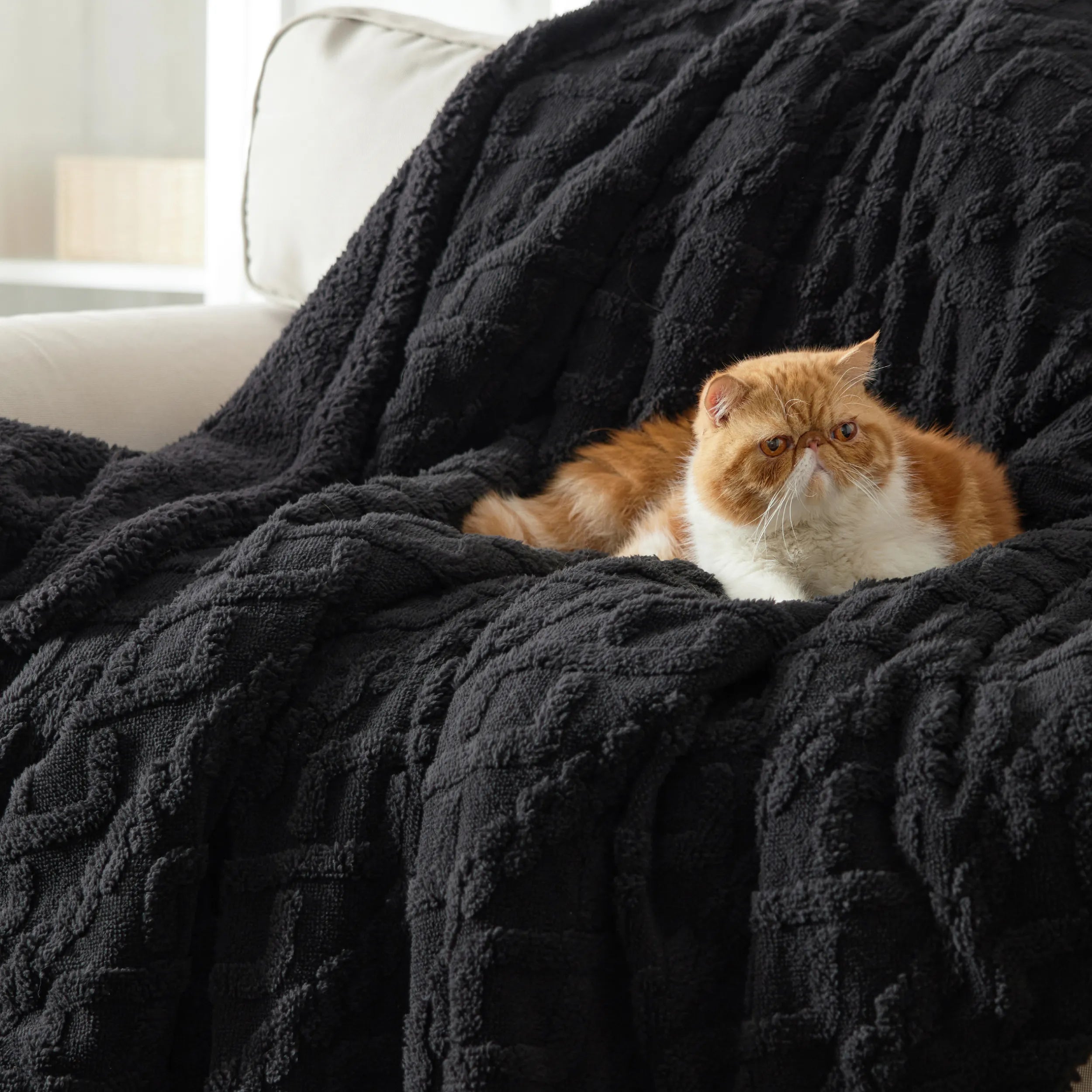 Cozy Sherpa Throw Blanket for Couch