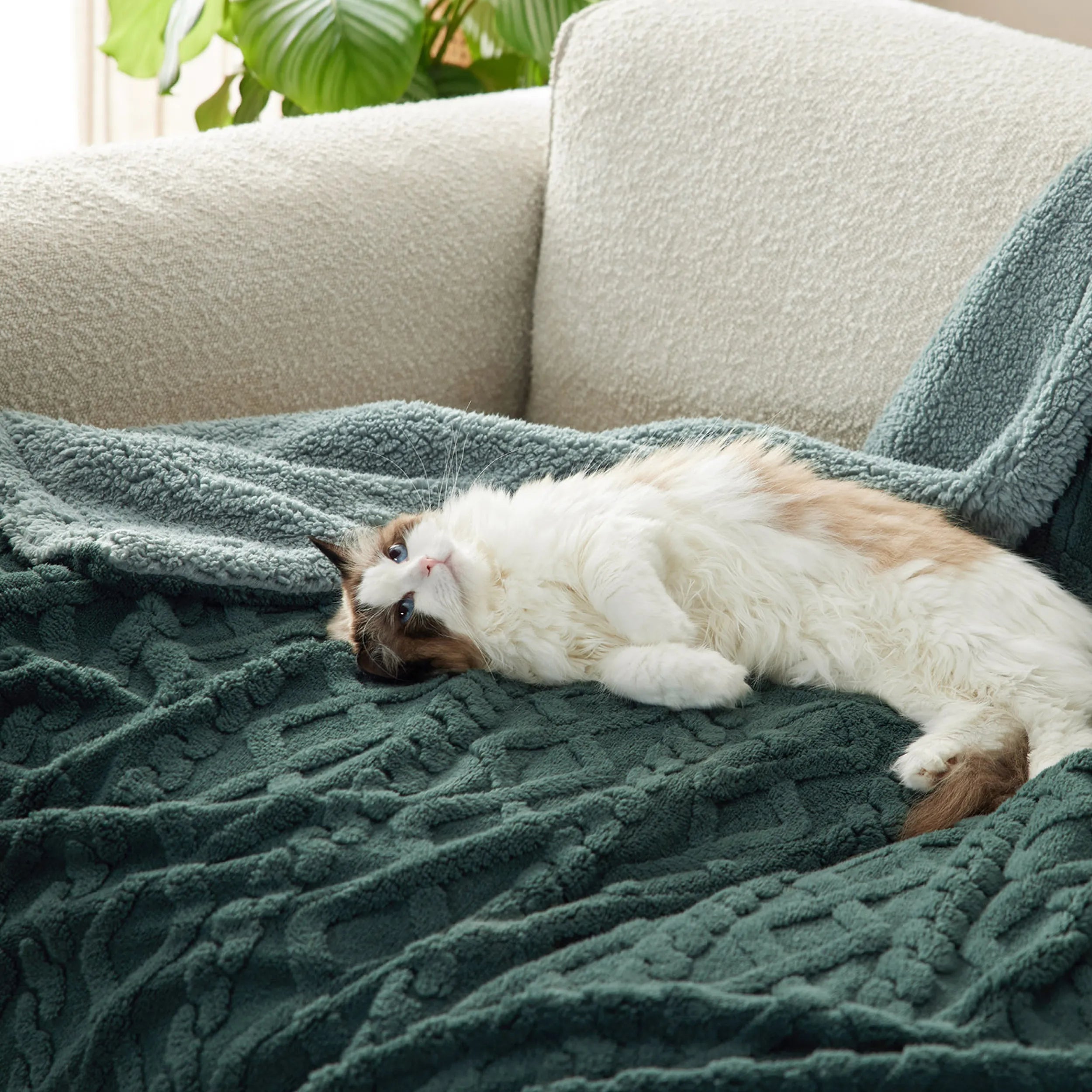 Cozy Sherpa Throw Blanket for Couch