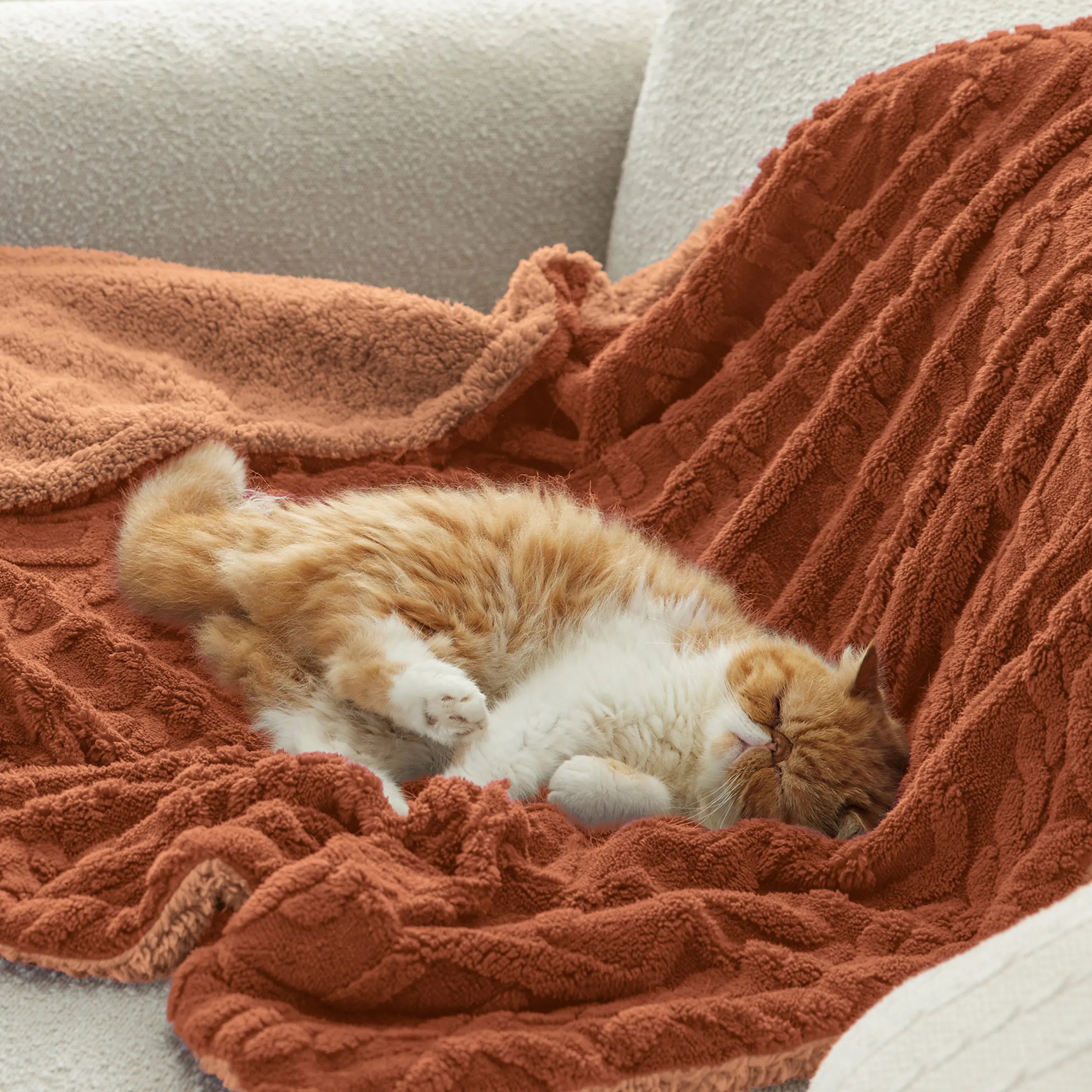 Cozy Sherpa Throw Blanket for Couch
