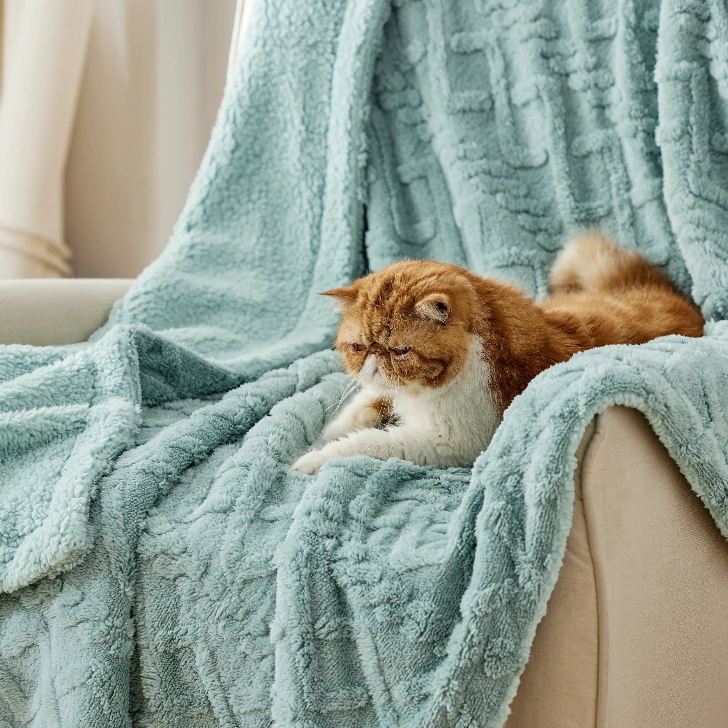 Cozy Sherpa Throw Blanket for Couch