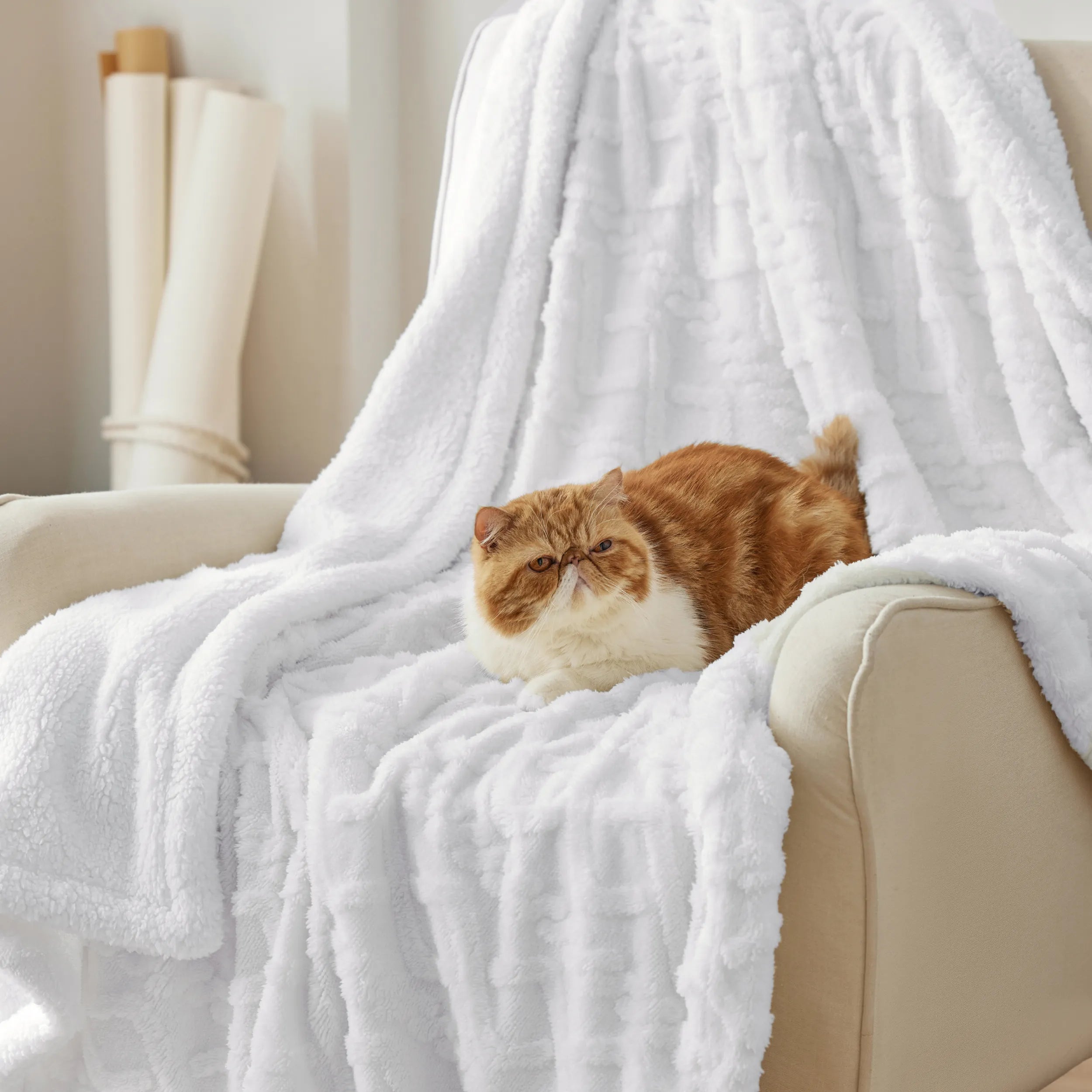 Cozy Sherpa Throw Blanket for Couch