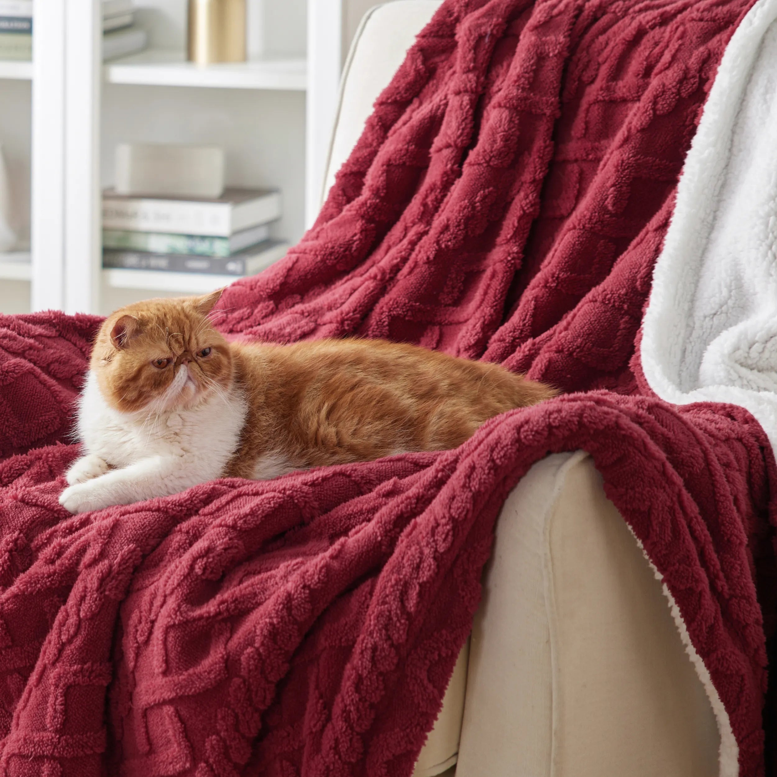 Cozy Sherpa Throw Blanket for Couch