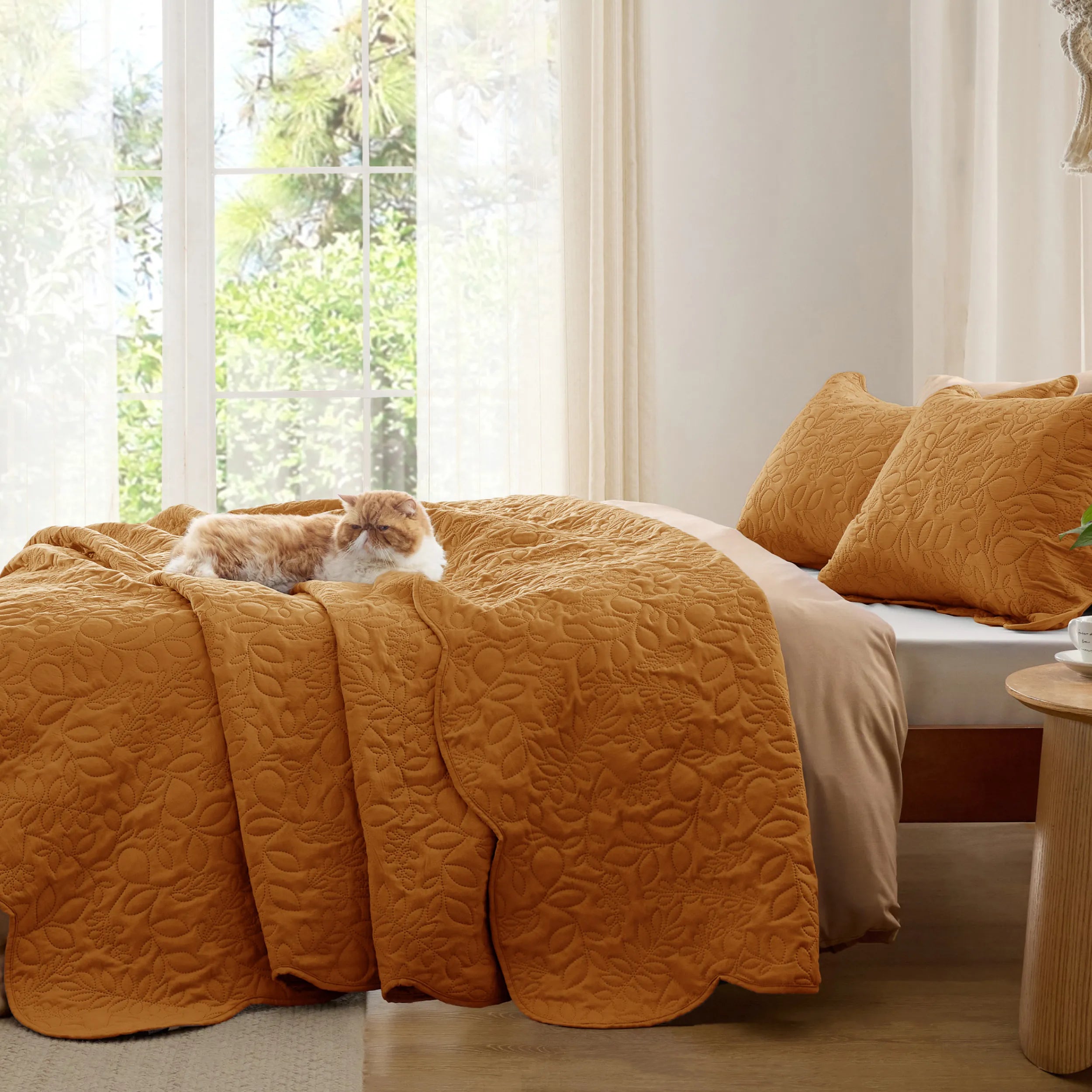 Ultrasonic Quilt Set