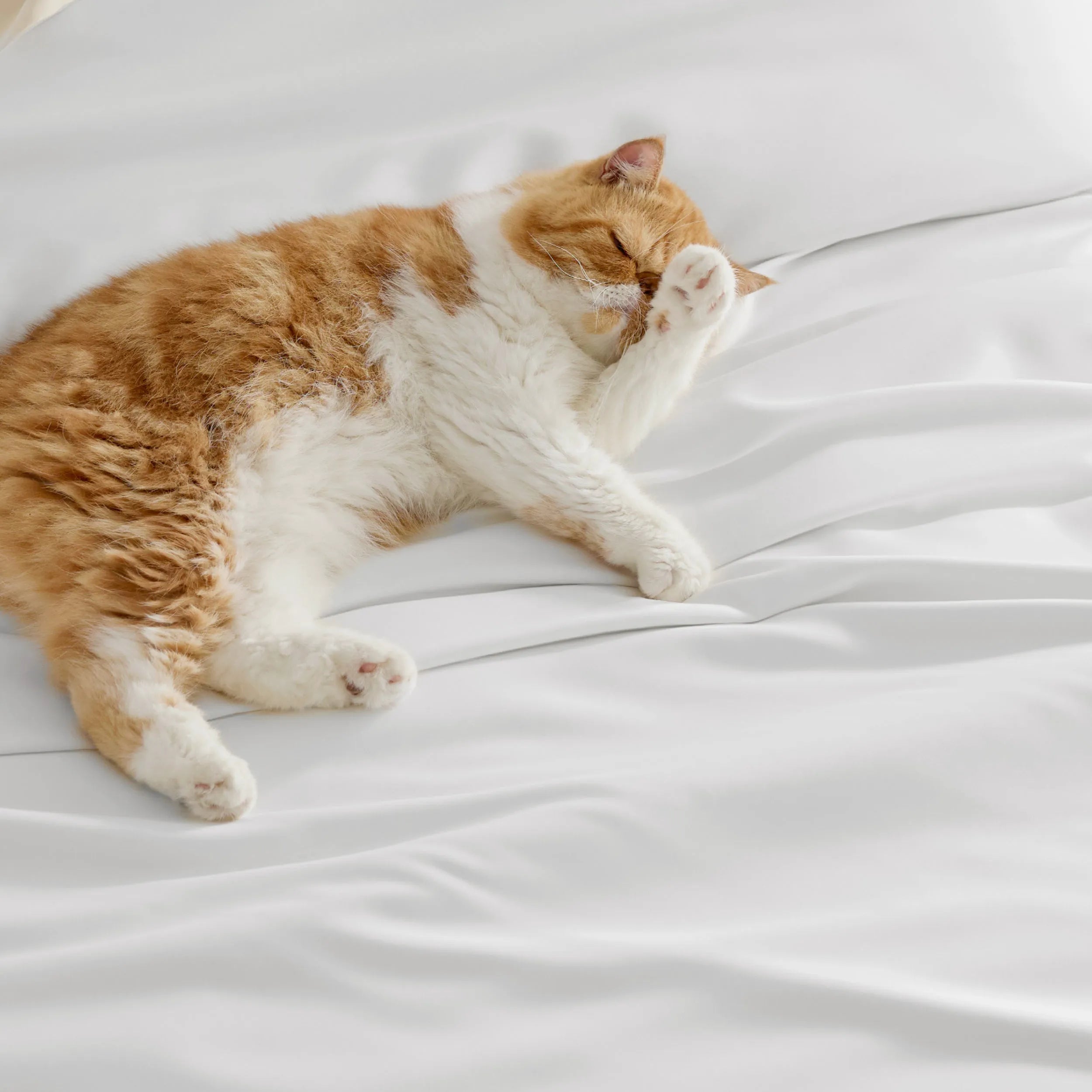 PureWoven™ Bamboo Rayon Duvet Cover Set