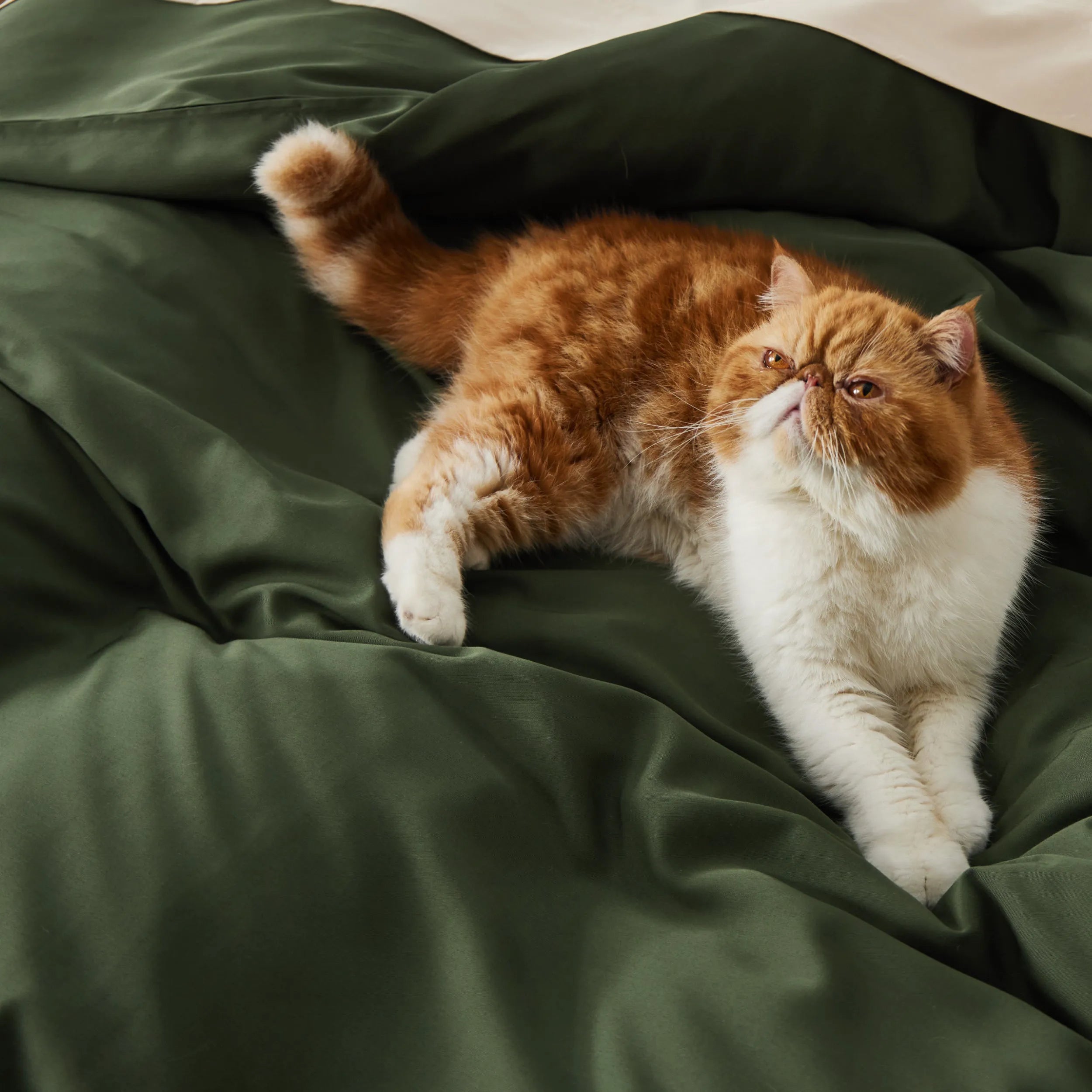 PureWoven™ Bamboo Rayon Duvet Cover Set