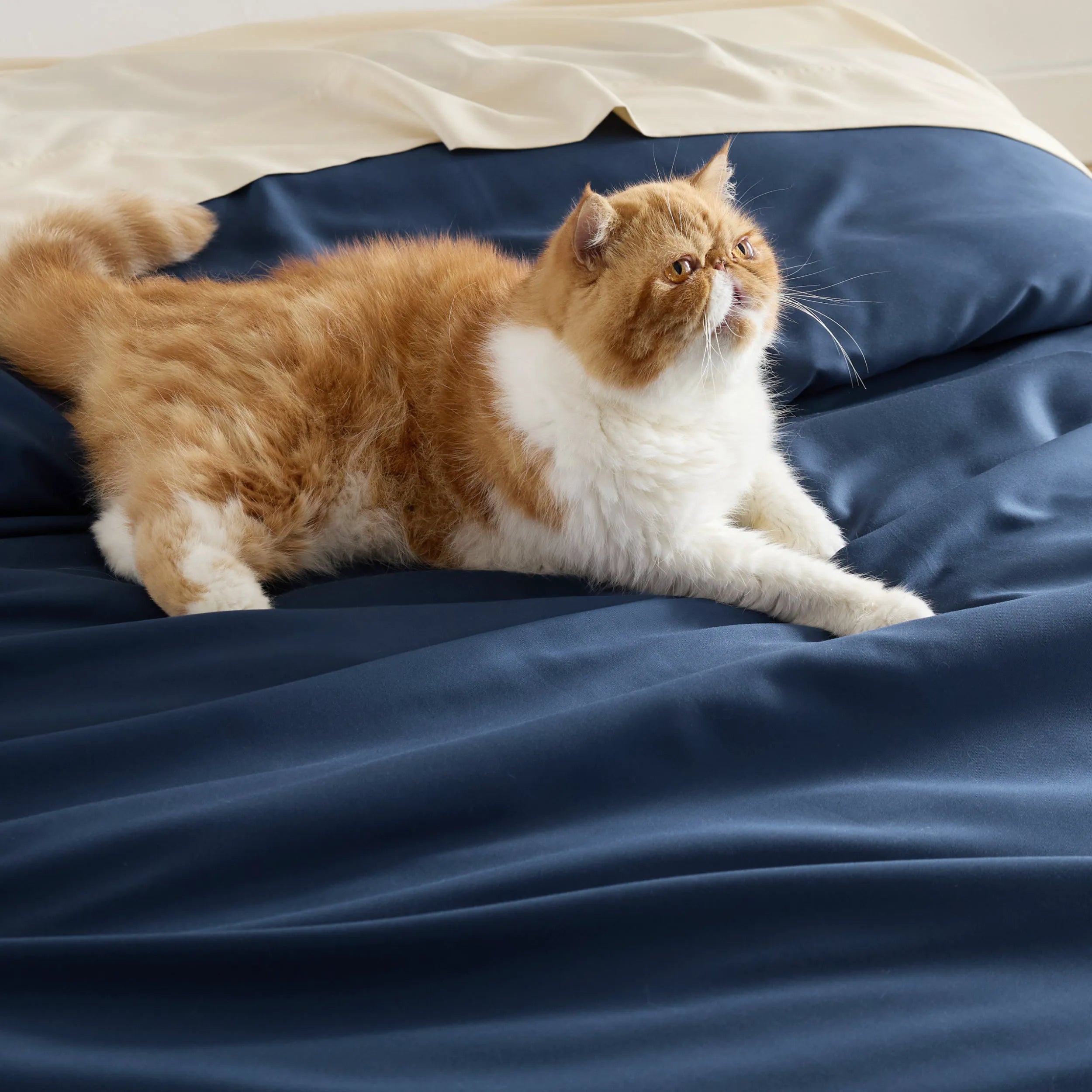 PureWoven™ Bamboo Rayon Duvet Cover Set