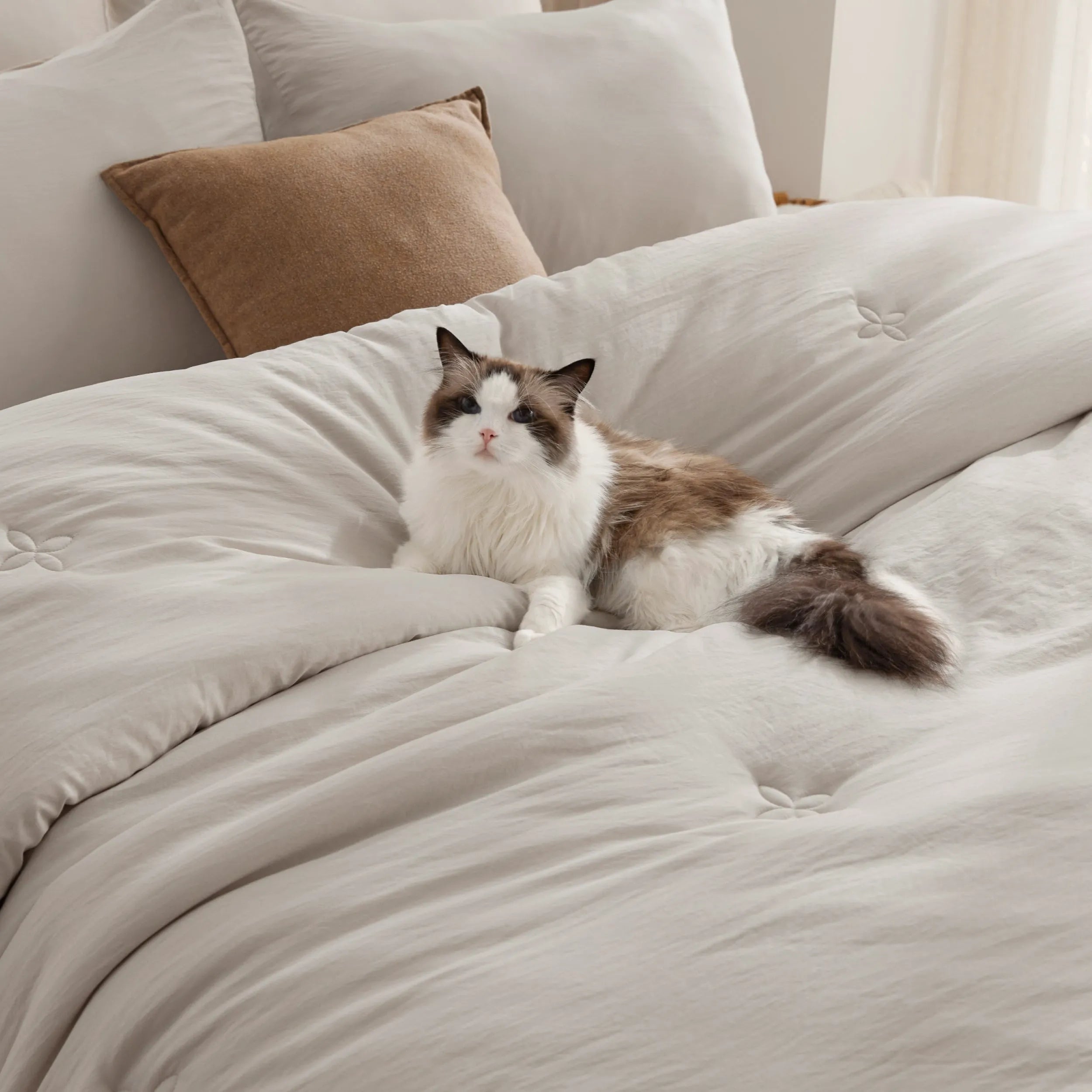 Textured Quilted Comforter Set