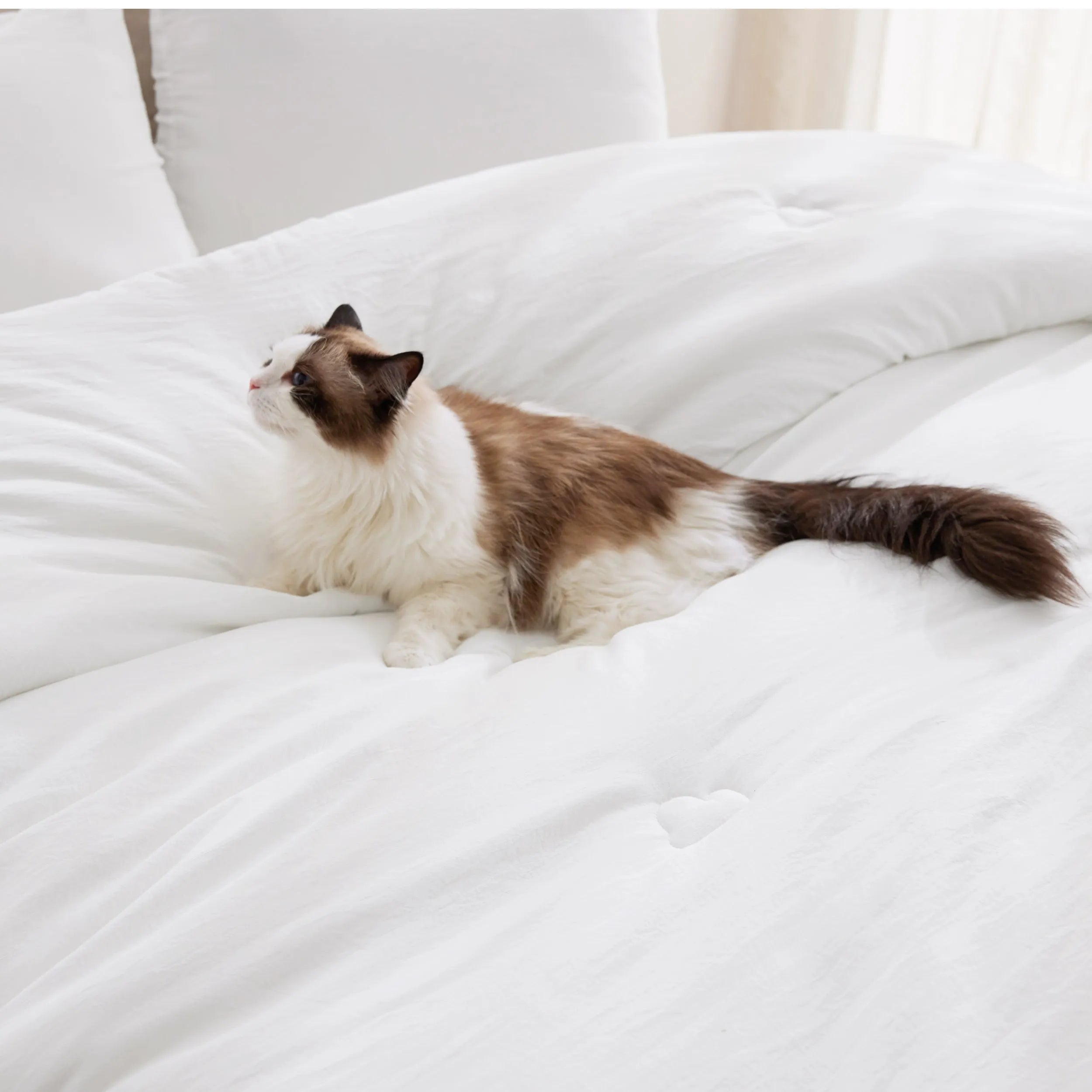 Textured Quilted Comforter Set