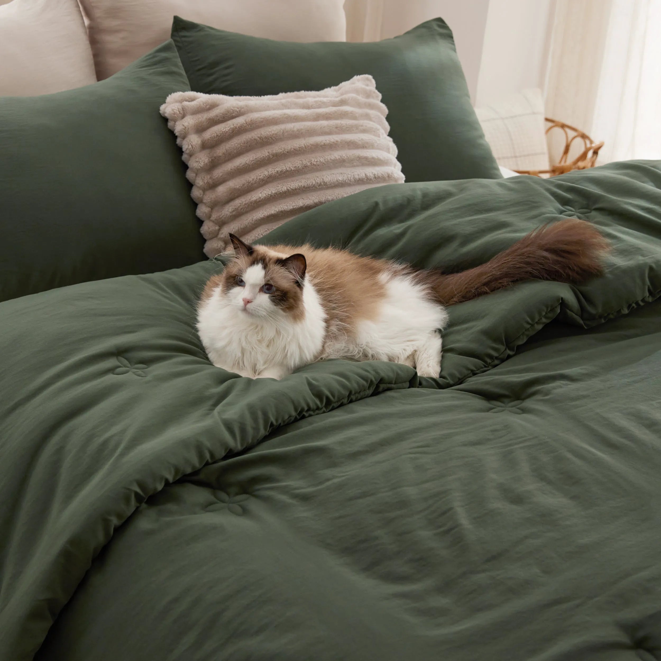 Textured Quilted Comforter Set
