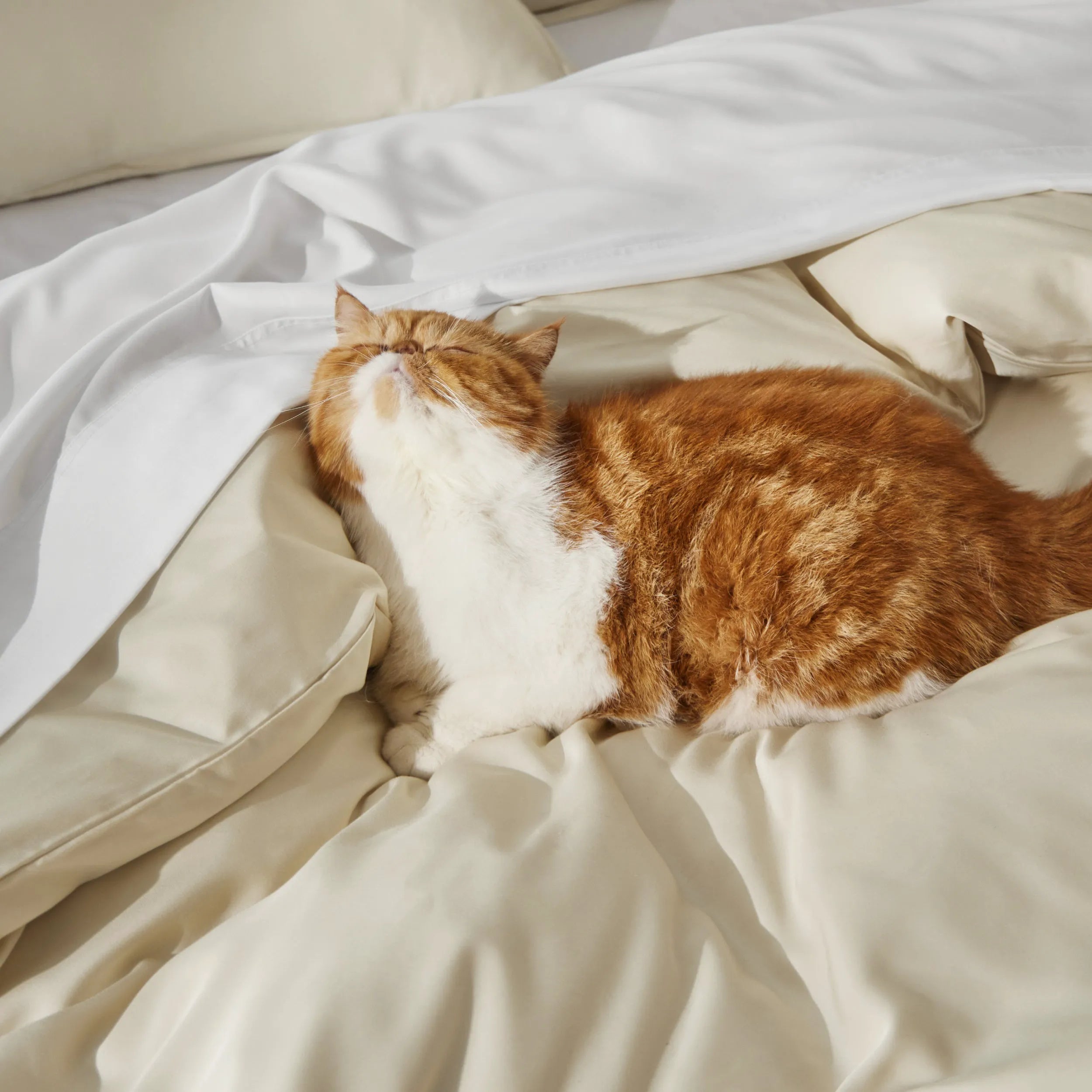 PureWoven™ Bamboo Rayon Duvet Cover Set