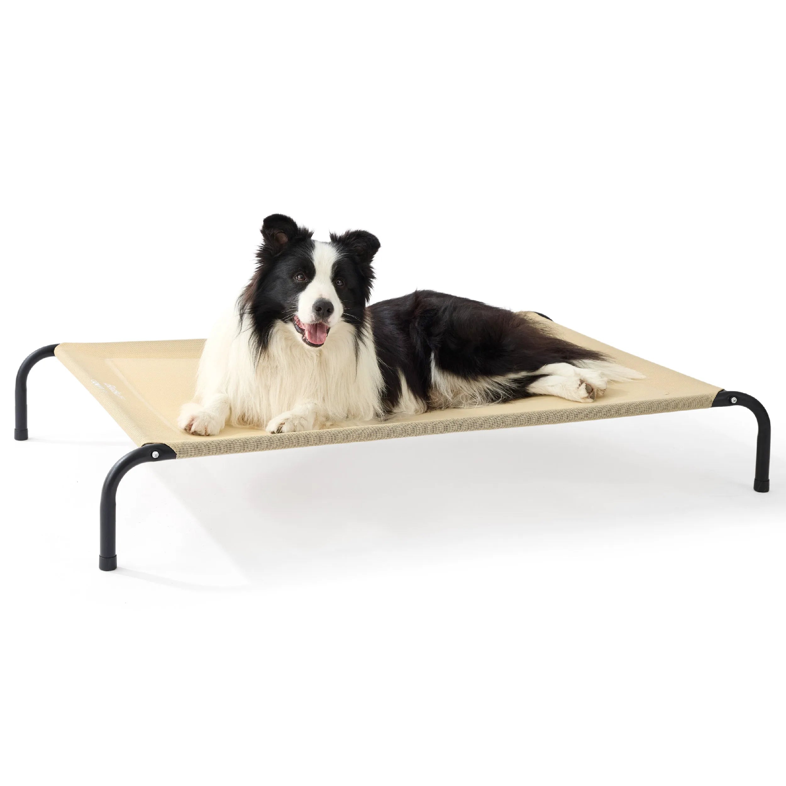 Raised Dog Bed