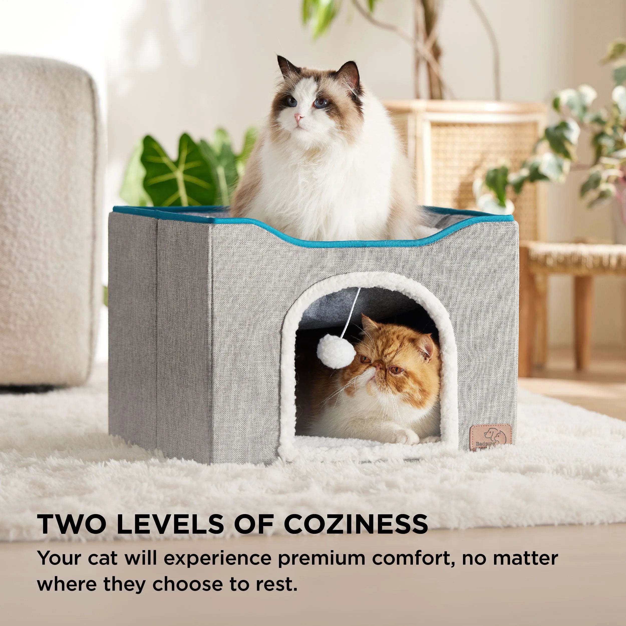 Indoor Cat Bed and House for Pets
