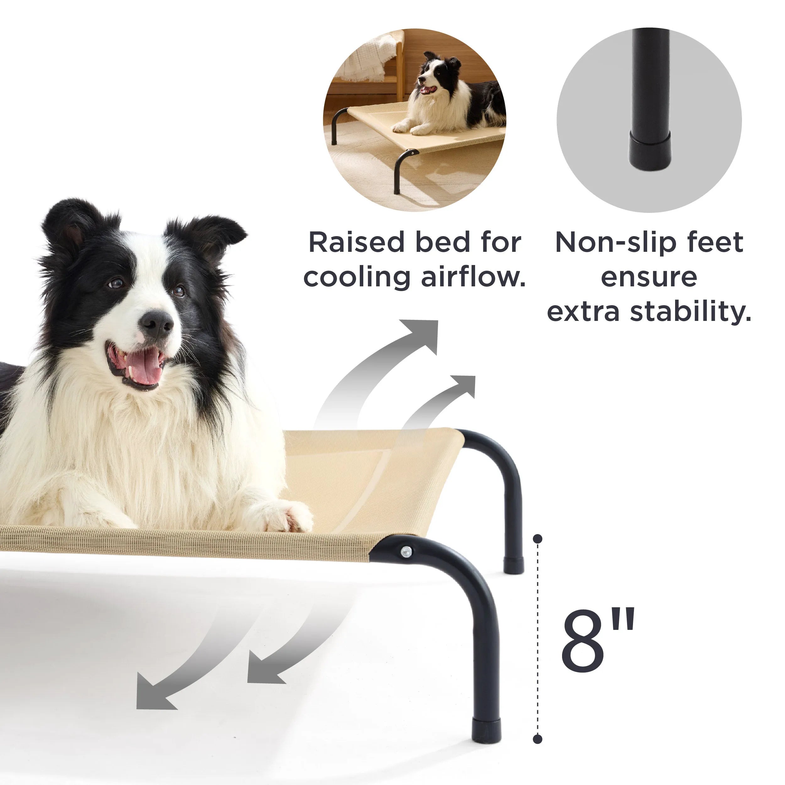 Raised Dog Bed