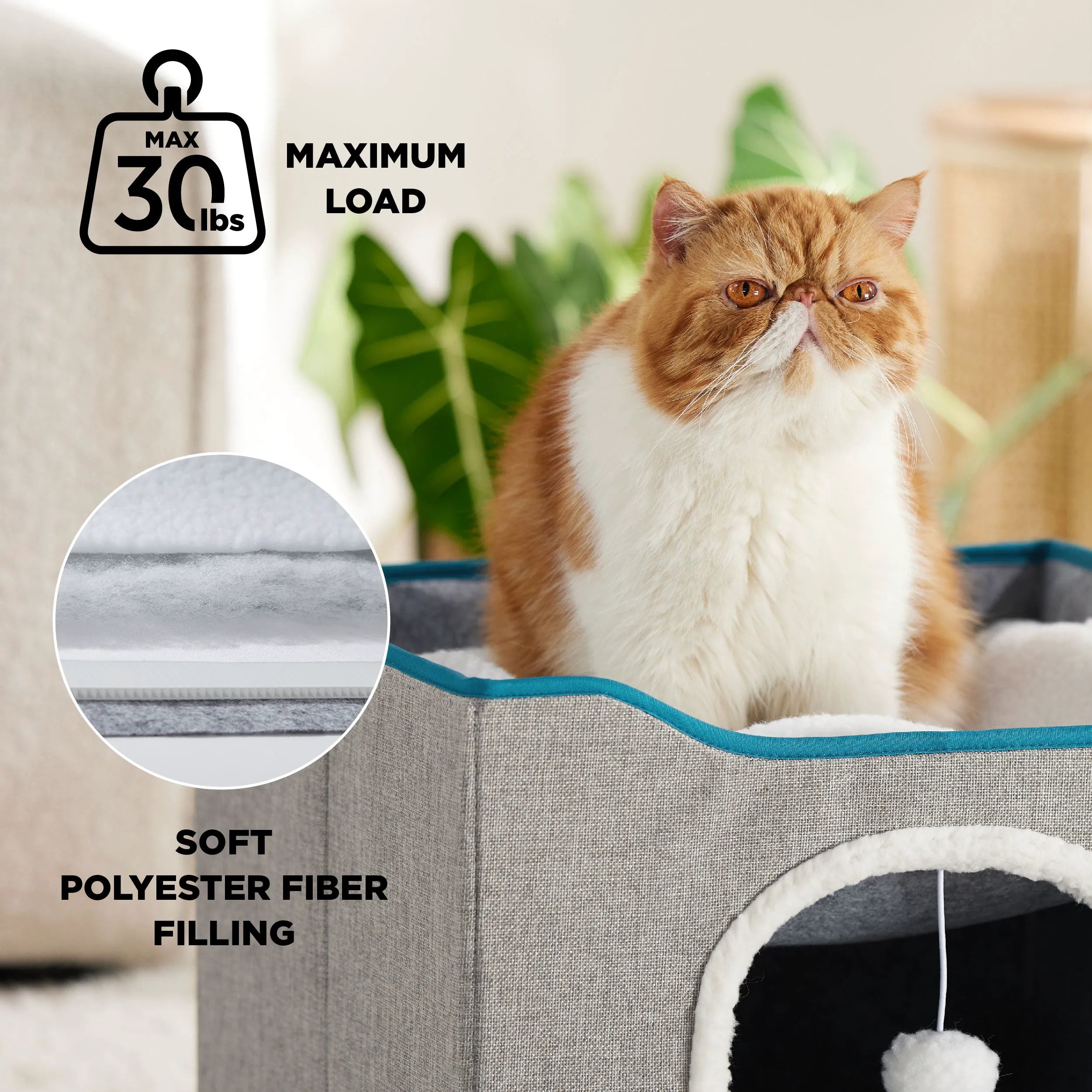 Indoor Cat Bed and House for Pets