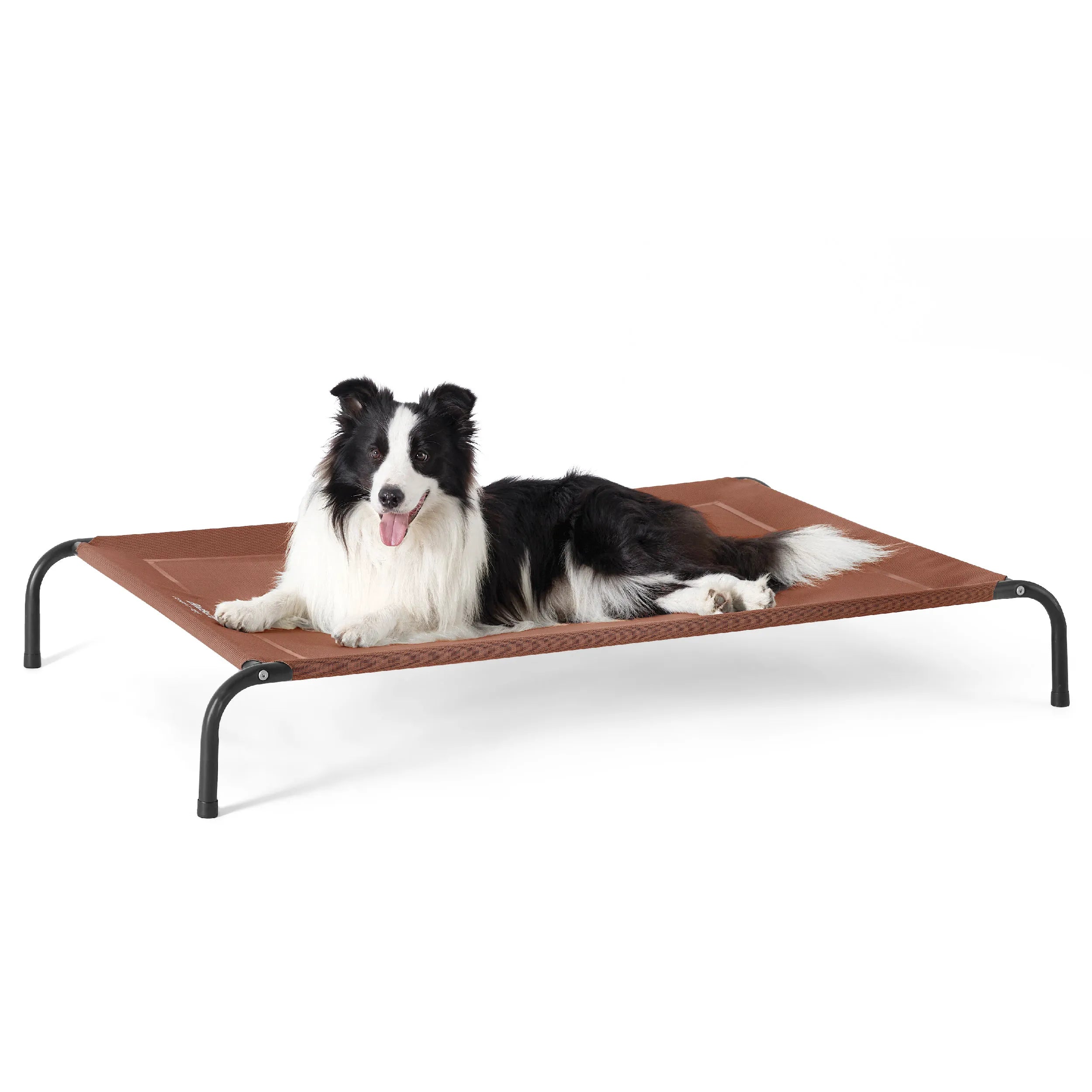 Raised Dog Bed