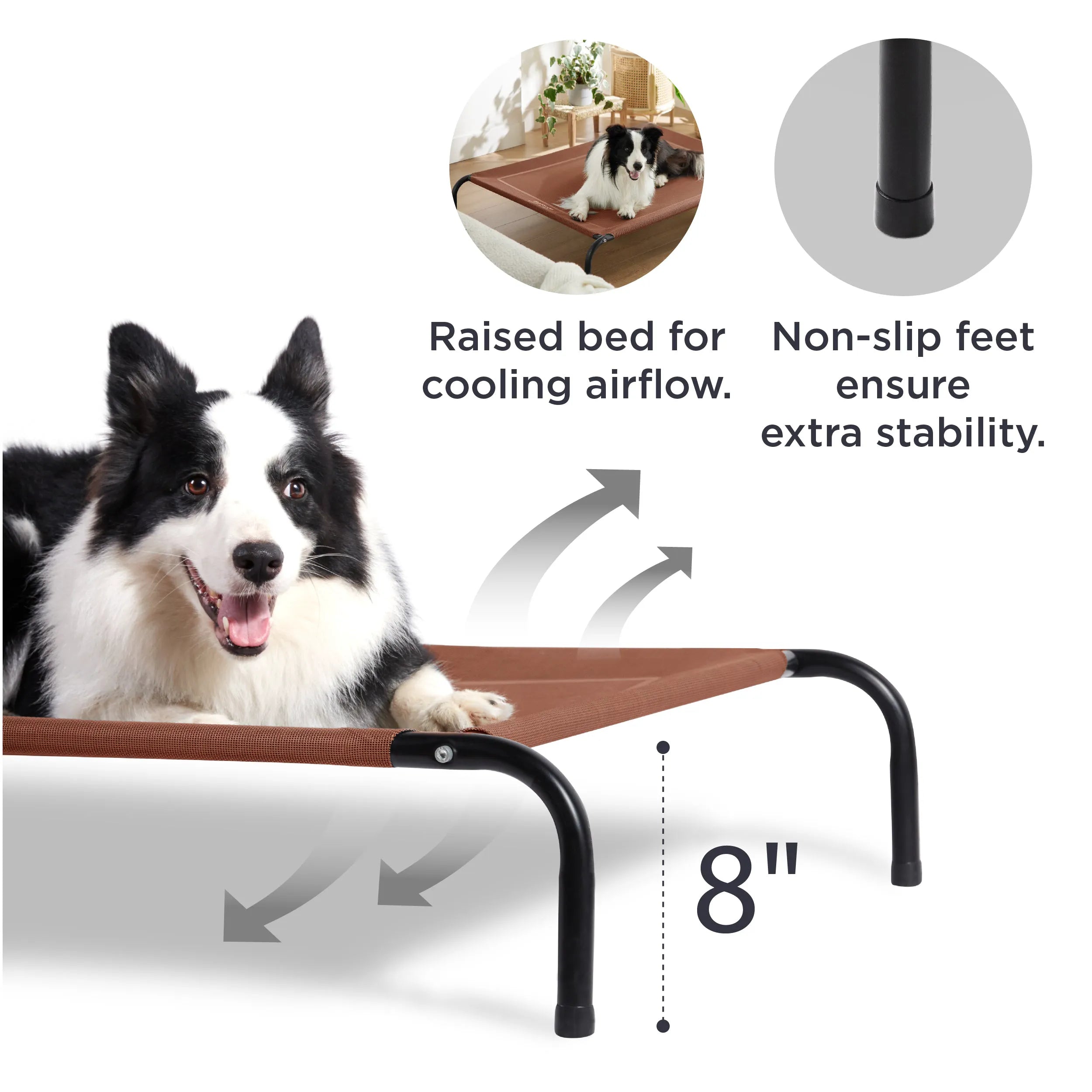 Raised Dog Bed