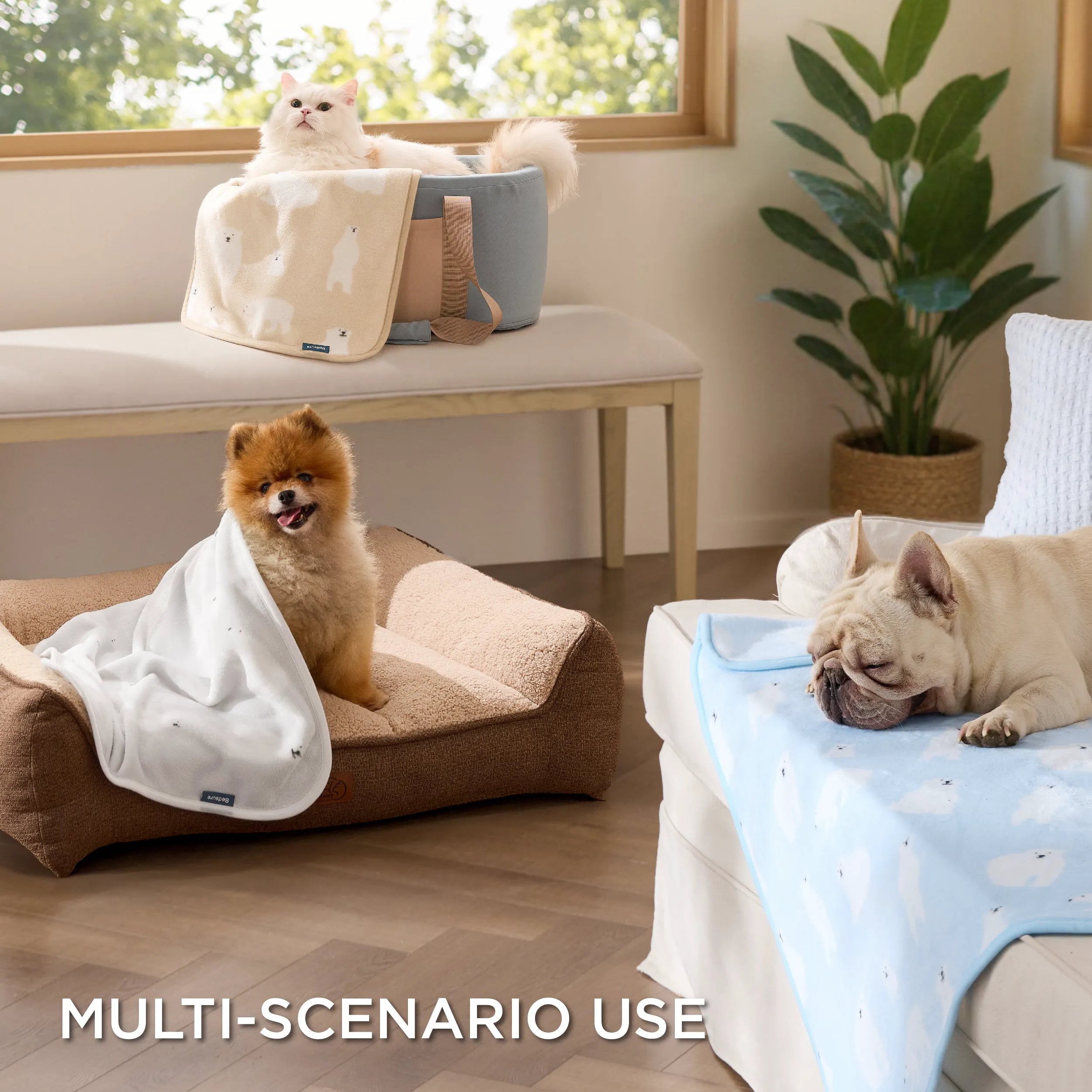 Pet Blankets - Pack of 3