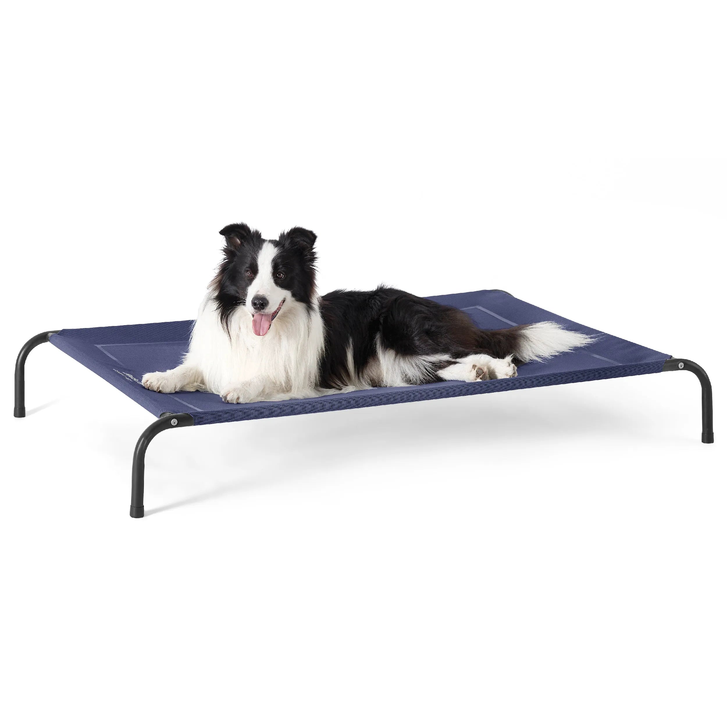 Raised Dog Bed