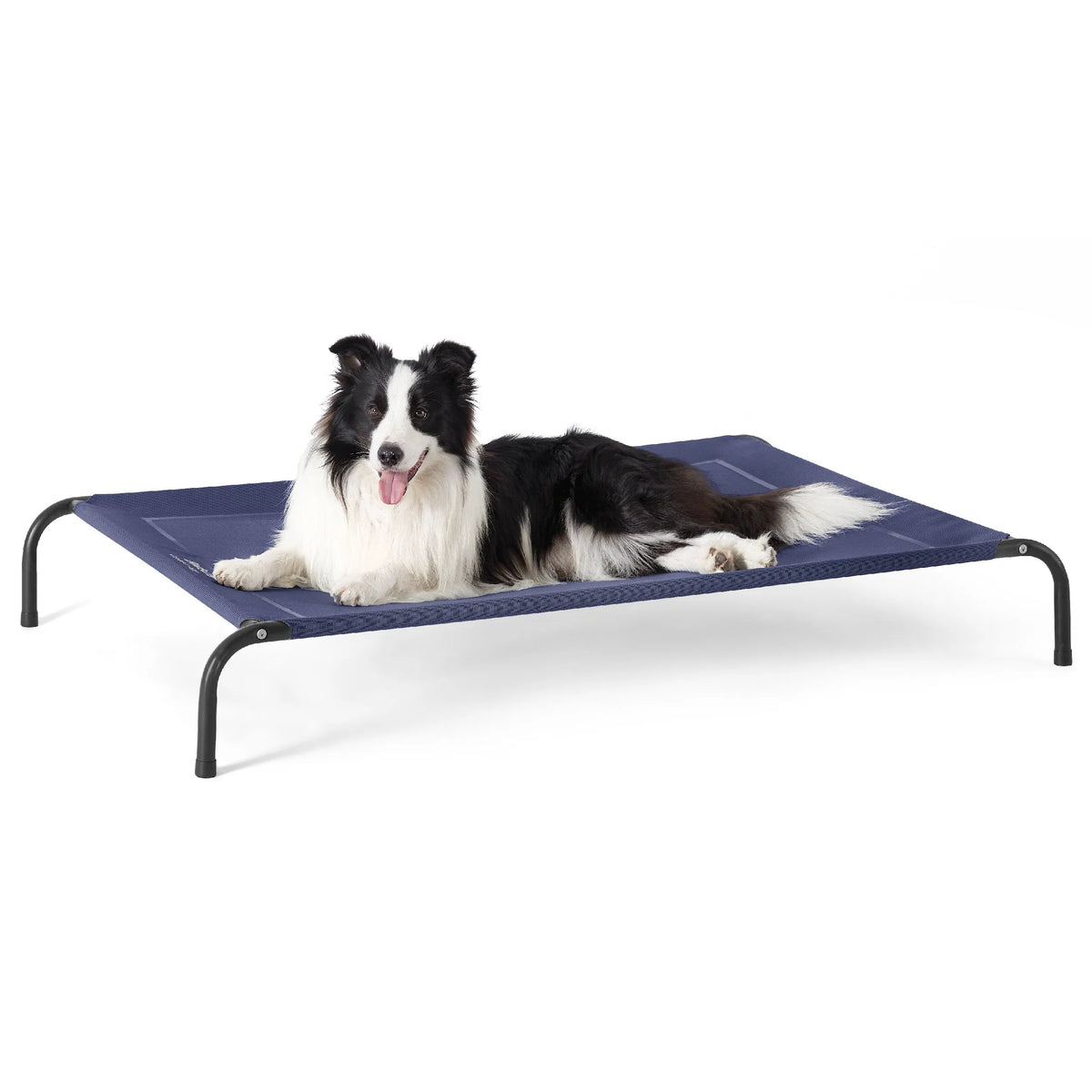 Raised Dog Bed
