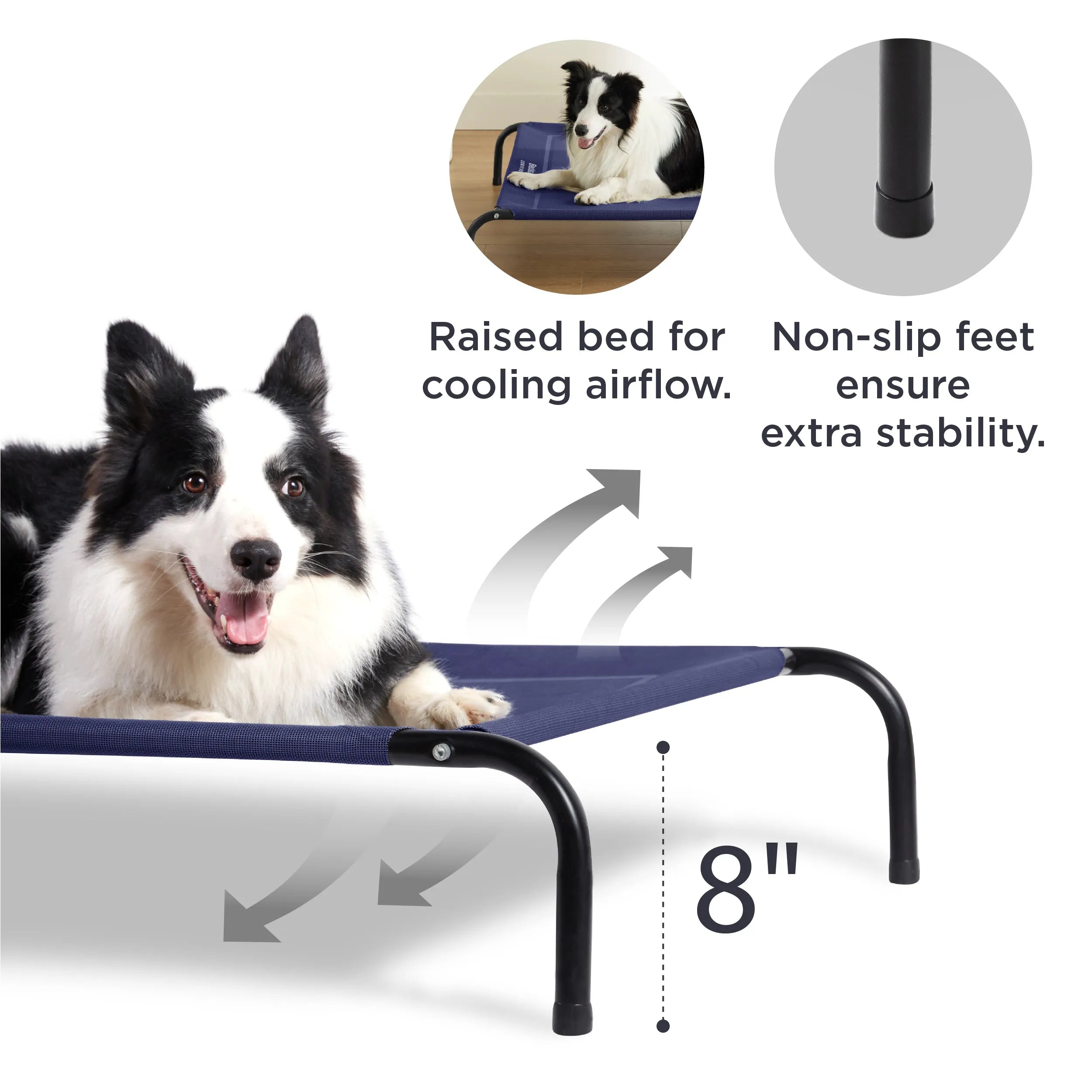 Raised Dog Bed