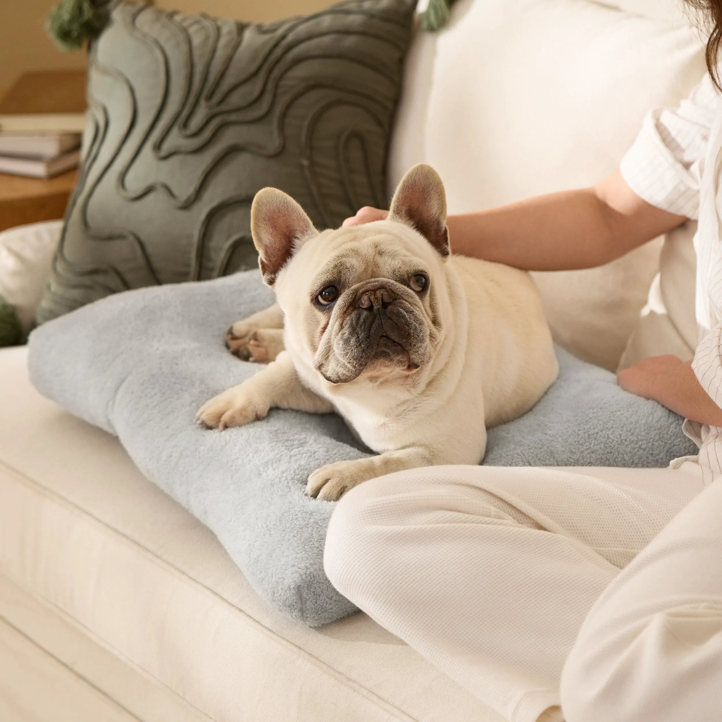 Fluffy Dog Bed Mat