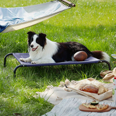 Raised Dog Bed
