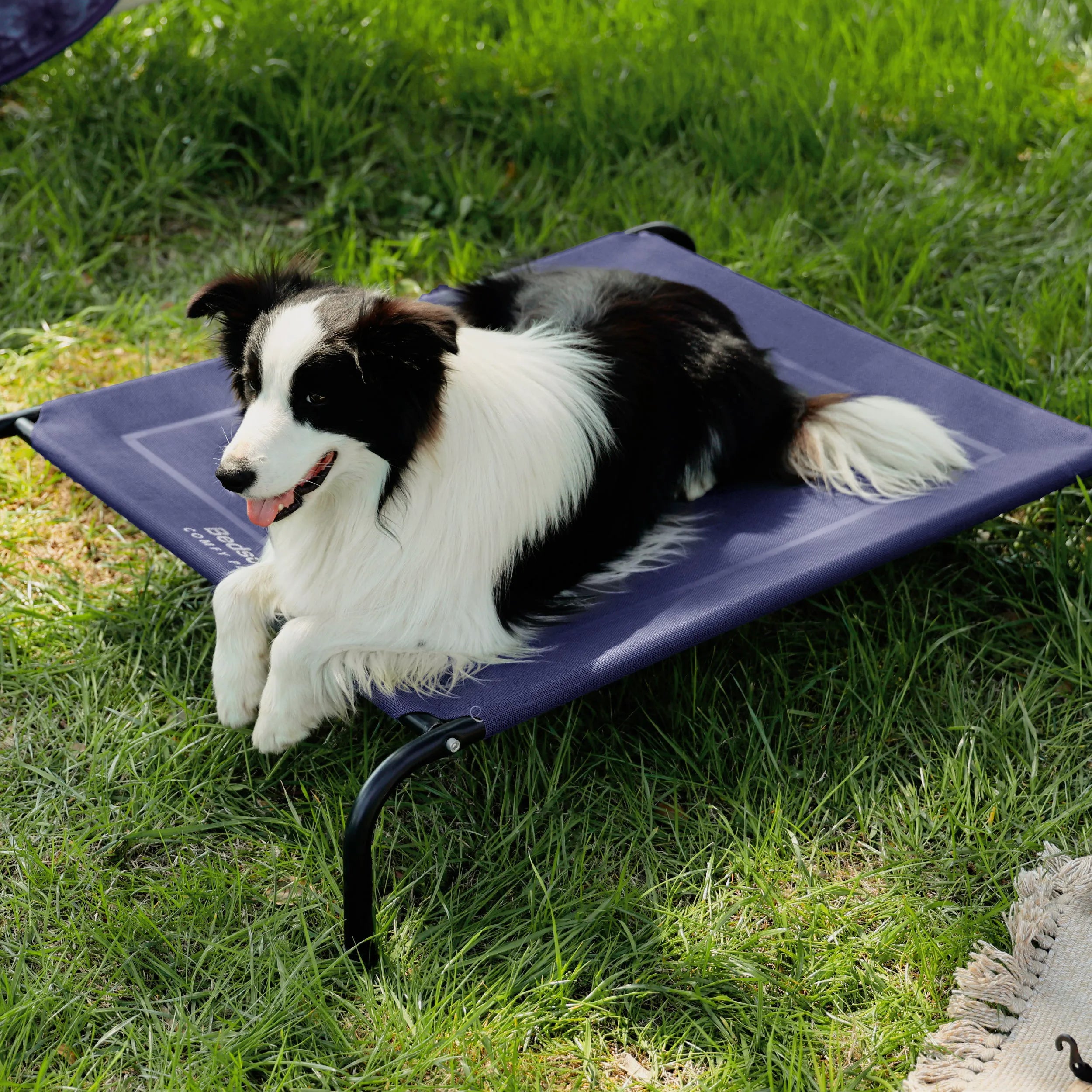 Raised Dog Bed
