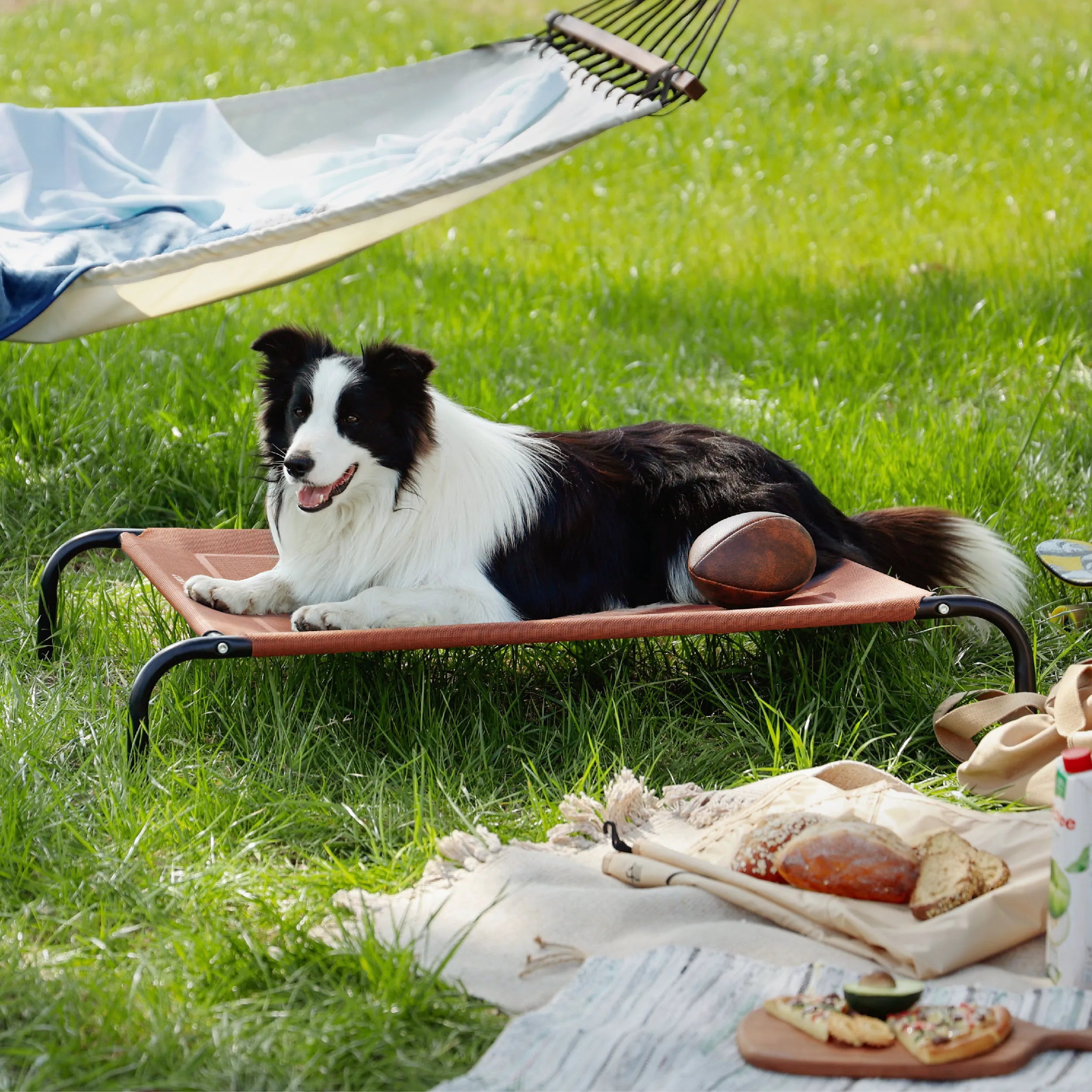 Raised Dog Bed