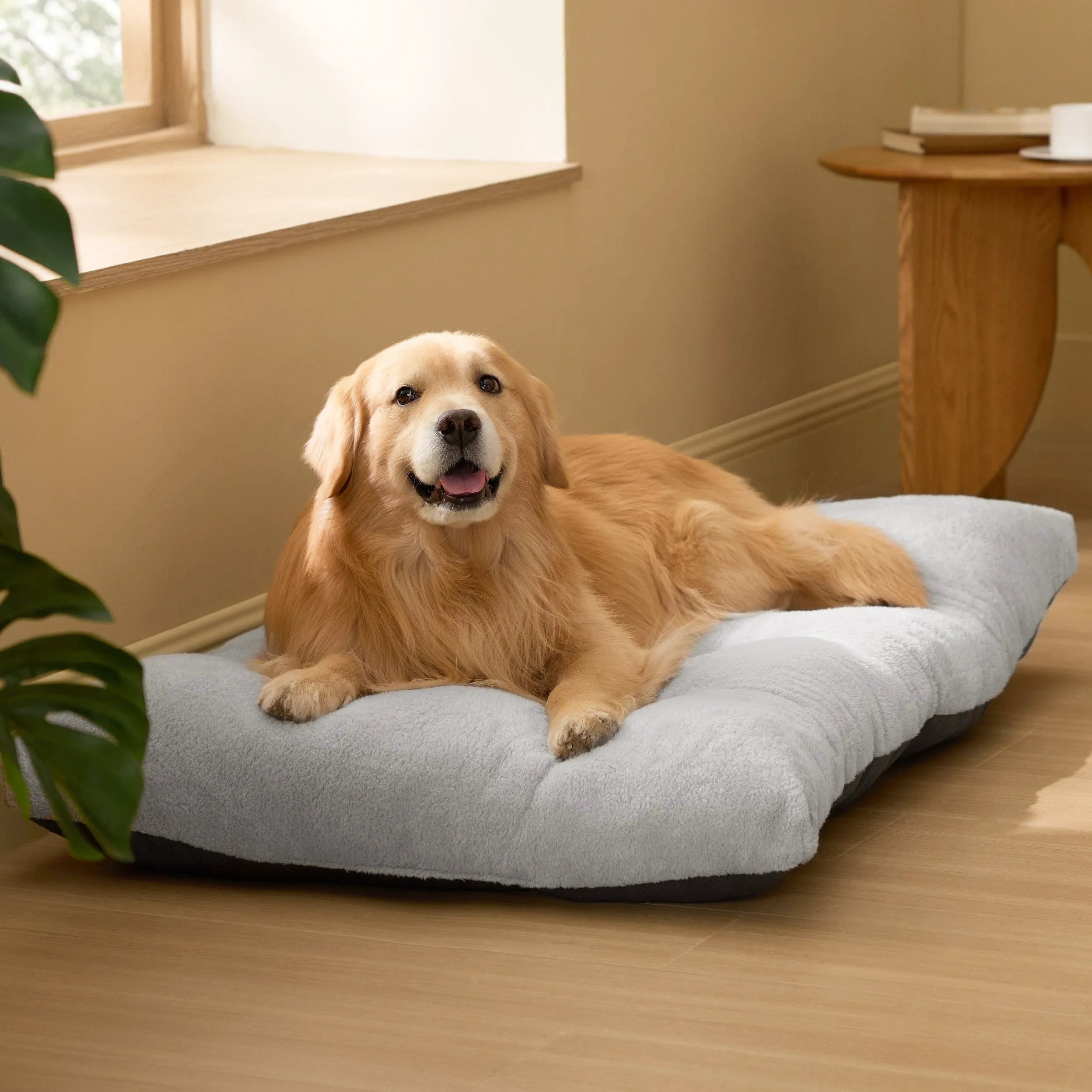 Fluffy Dog Bed Mat