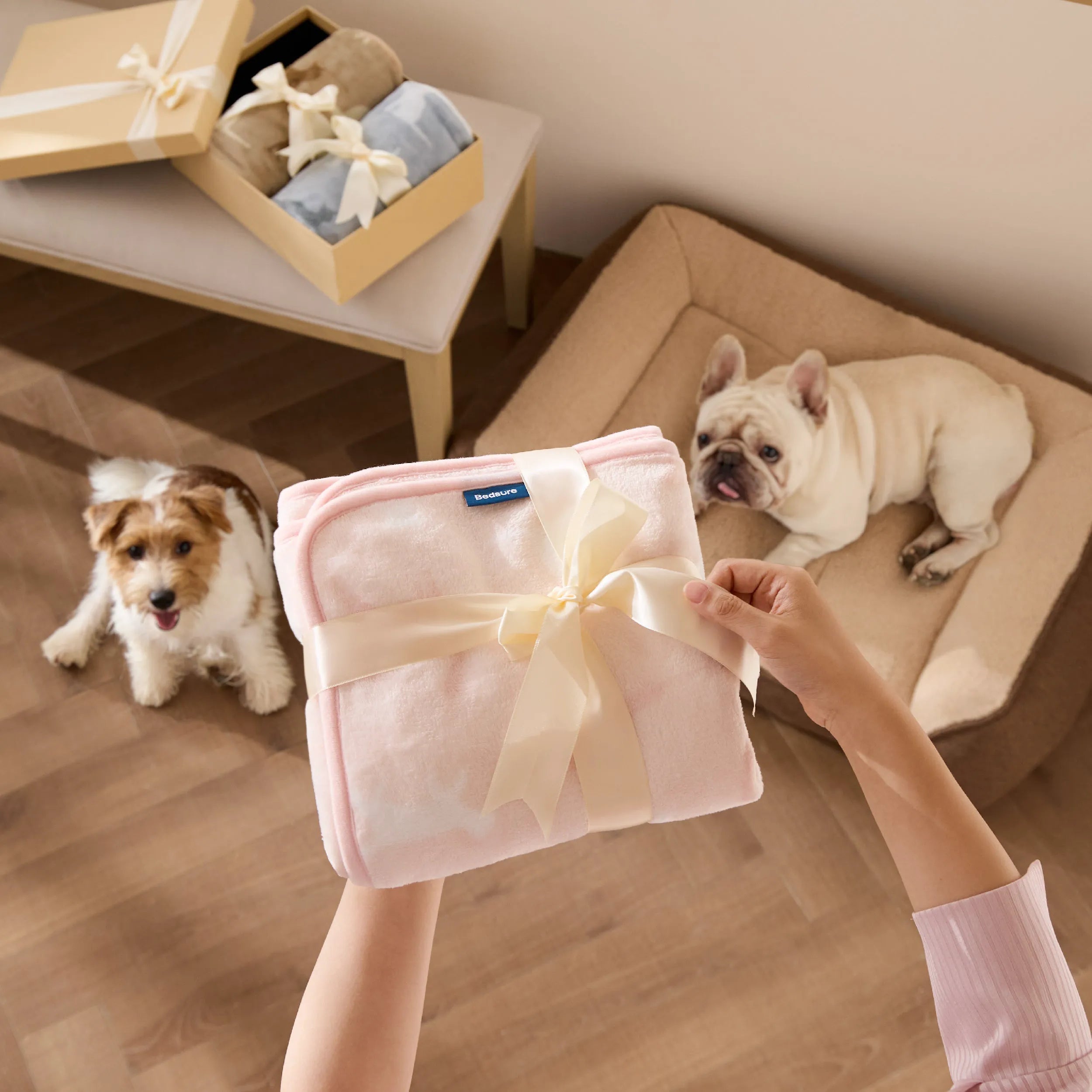 Pet Blankets - Pack of 3