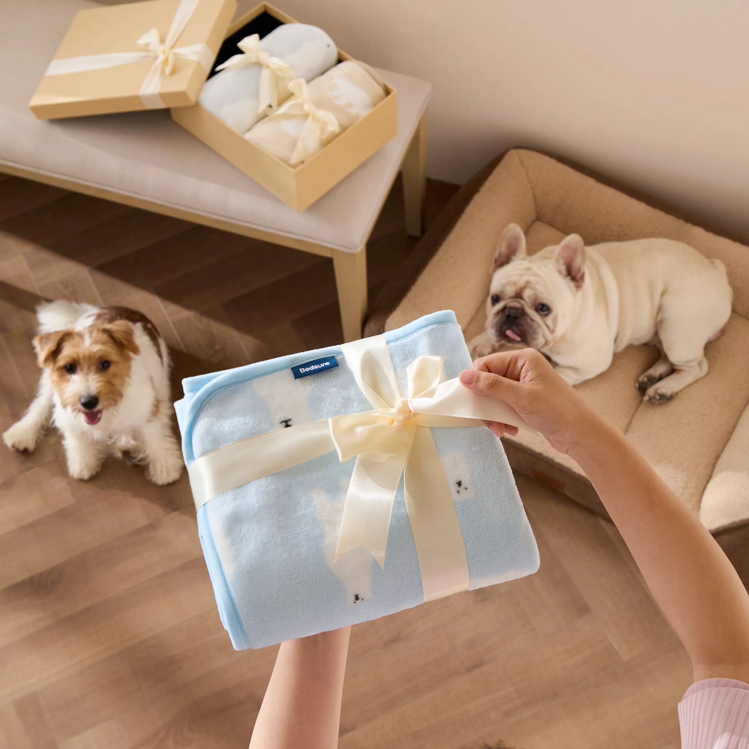 Pet Blankets - Pack of 3