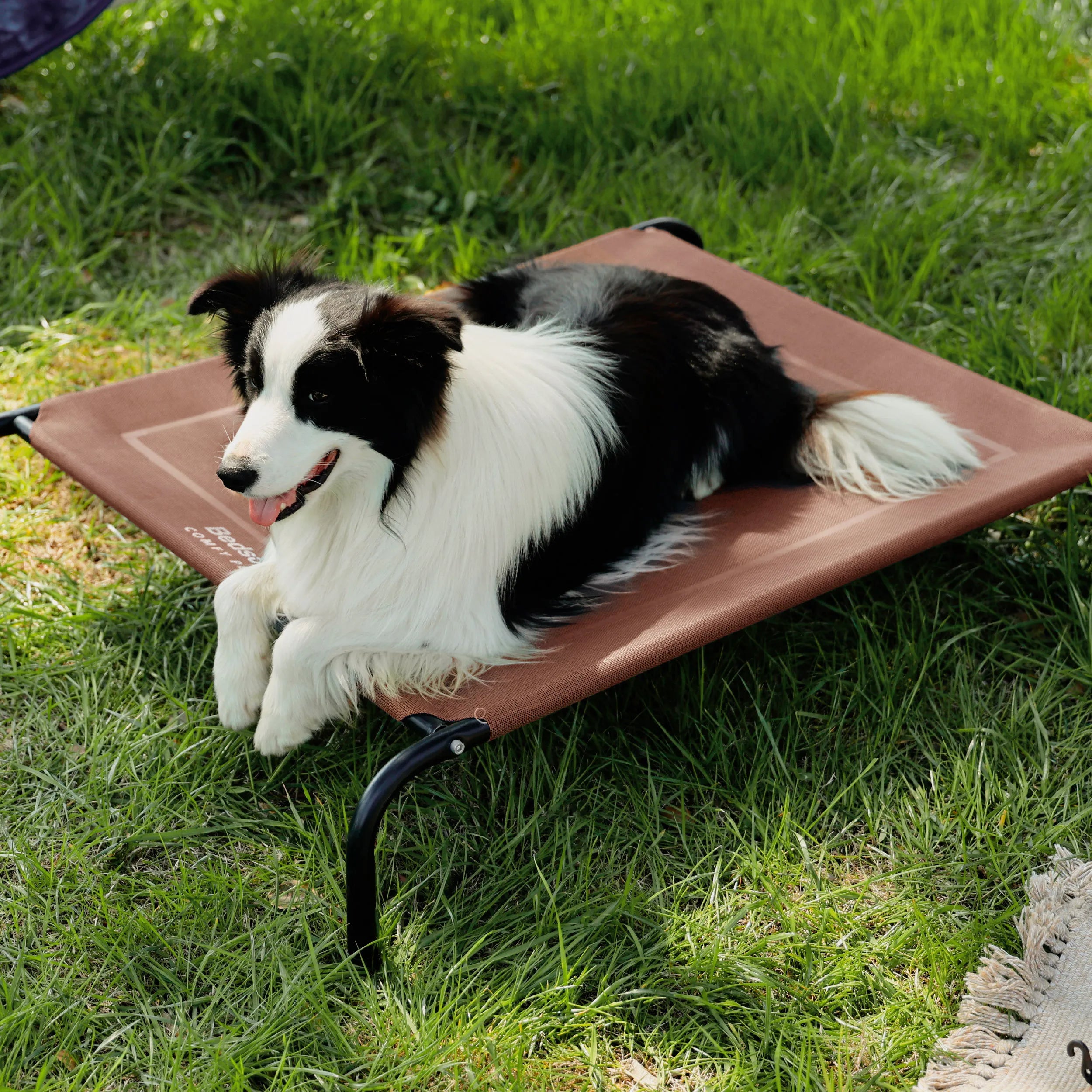 Raised Dog Bed