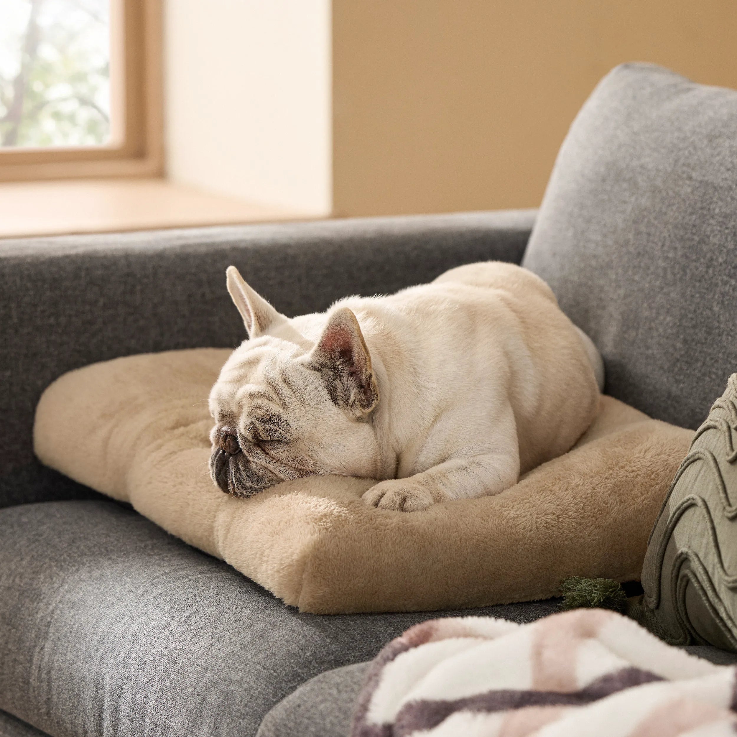Fluffy Dog Bed Mat