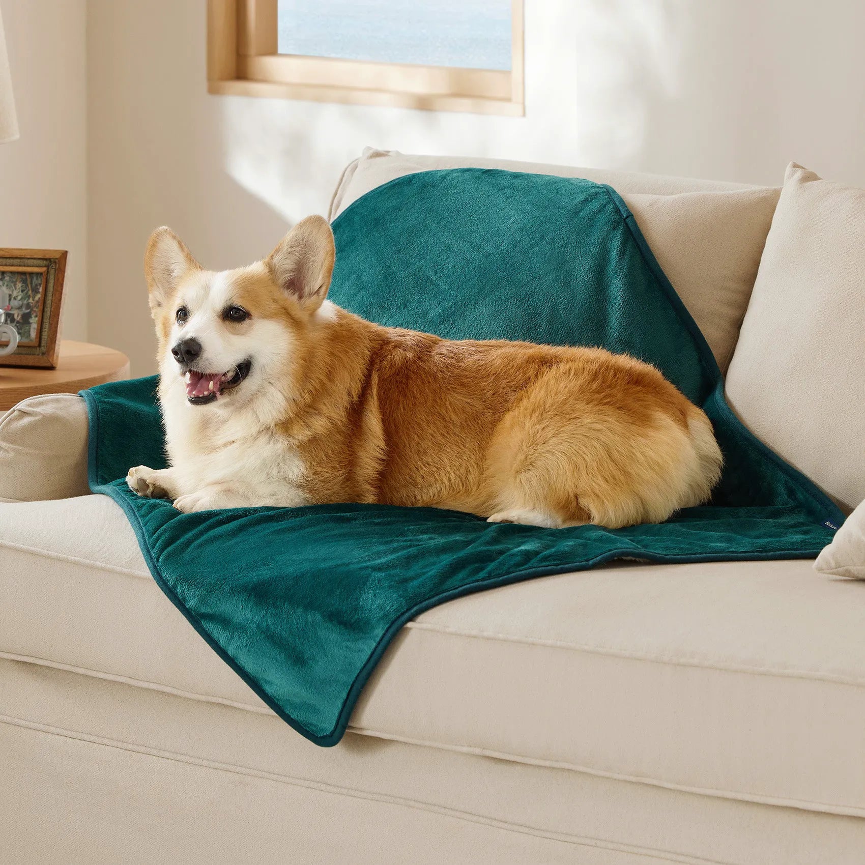 Reversible Sherpa & Microfiber Fleece Dog Blanket