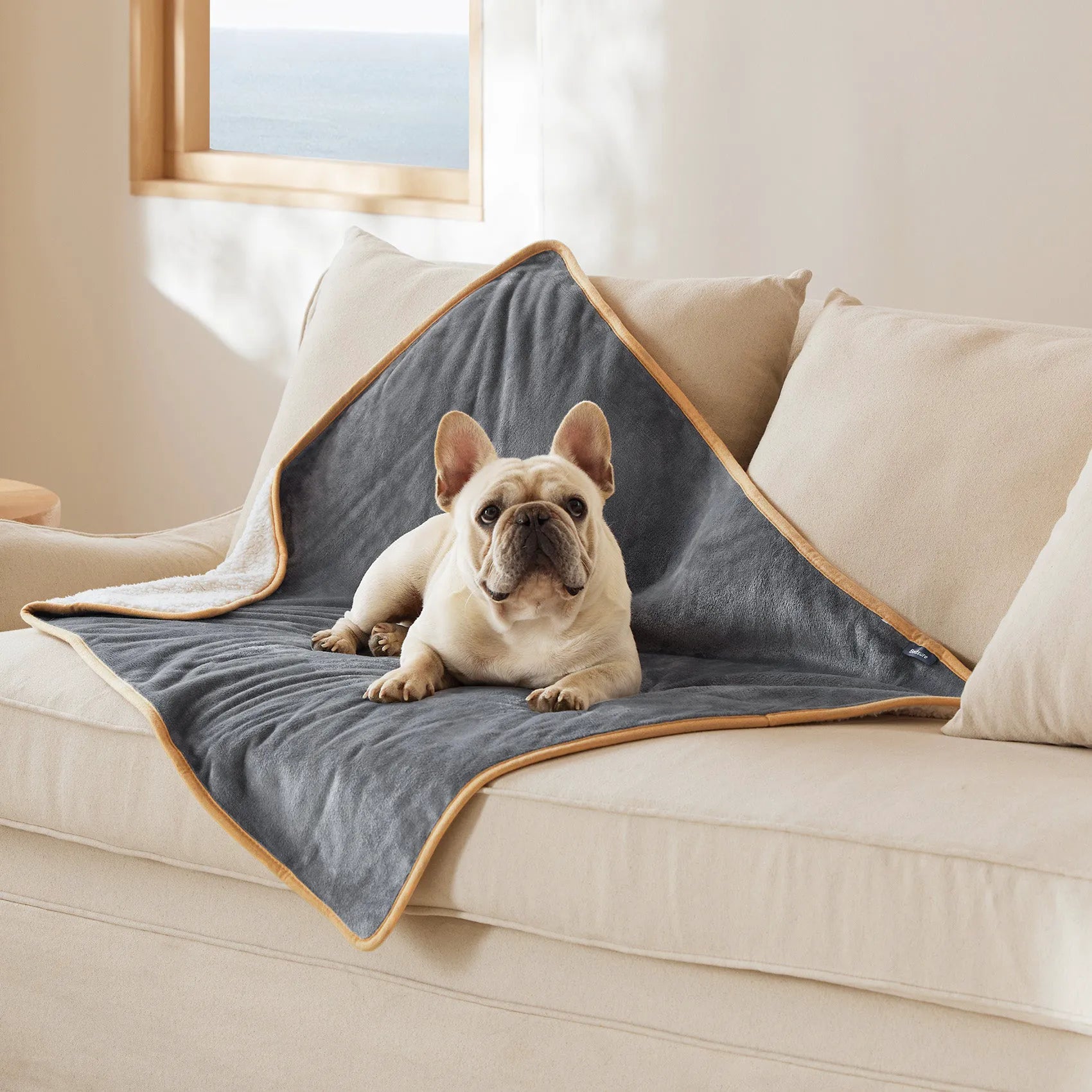 Reversible Sherpa & Microfiber Fleece Dog Blanket