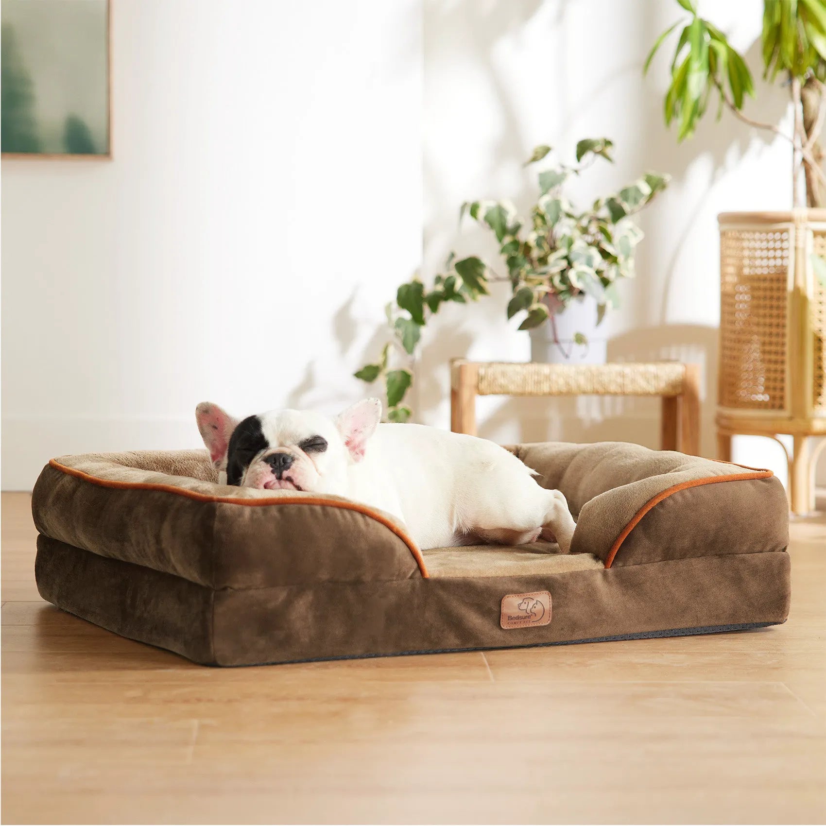 Orthopedic Dog Couch