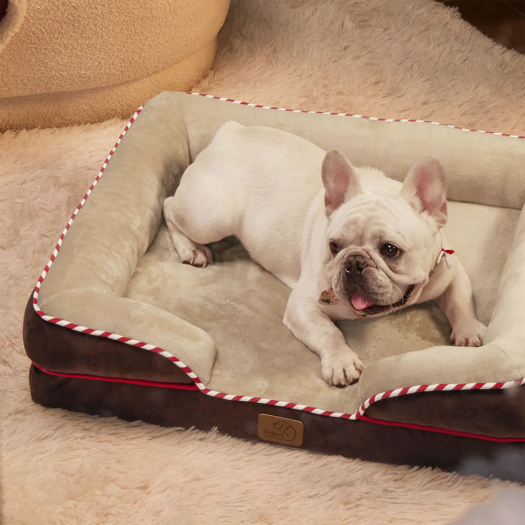 Orthopedic Dog Couch