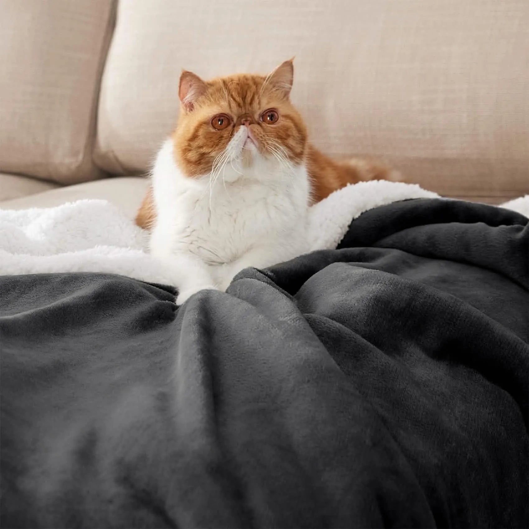 Cozy Sherpa Fleece Throw Blanket