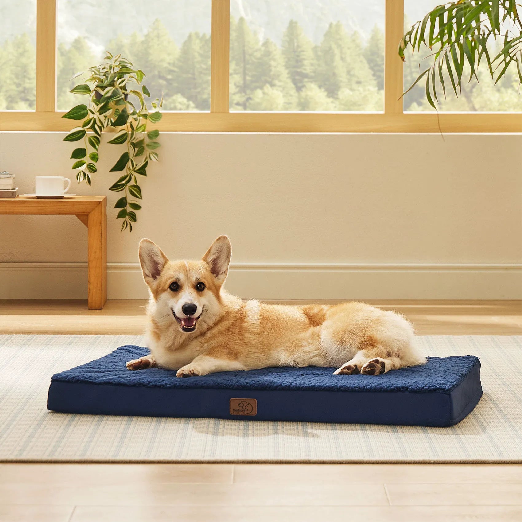 Large Washable Orthopedic Dog Bed