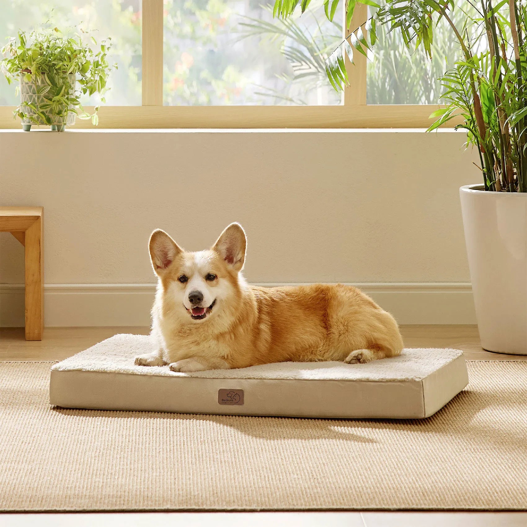 Large Washable Orthopedic Dog Bed